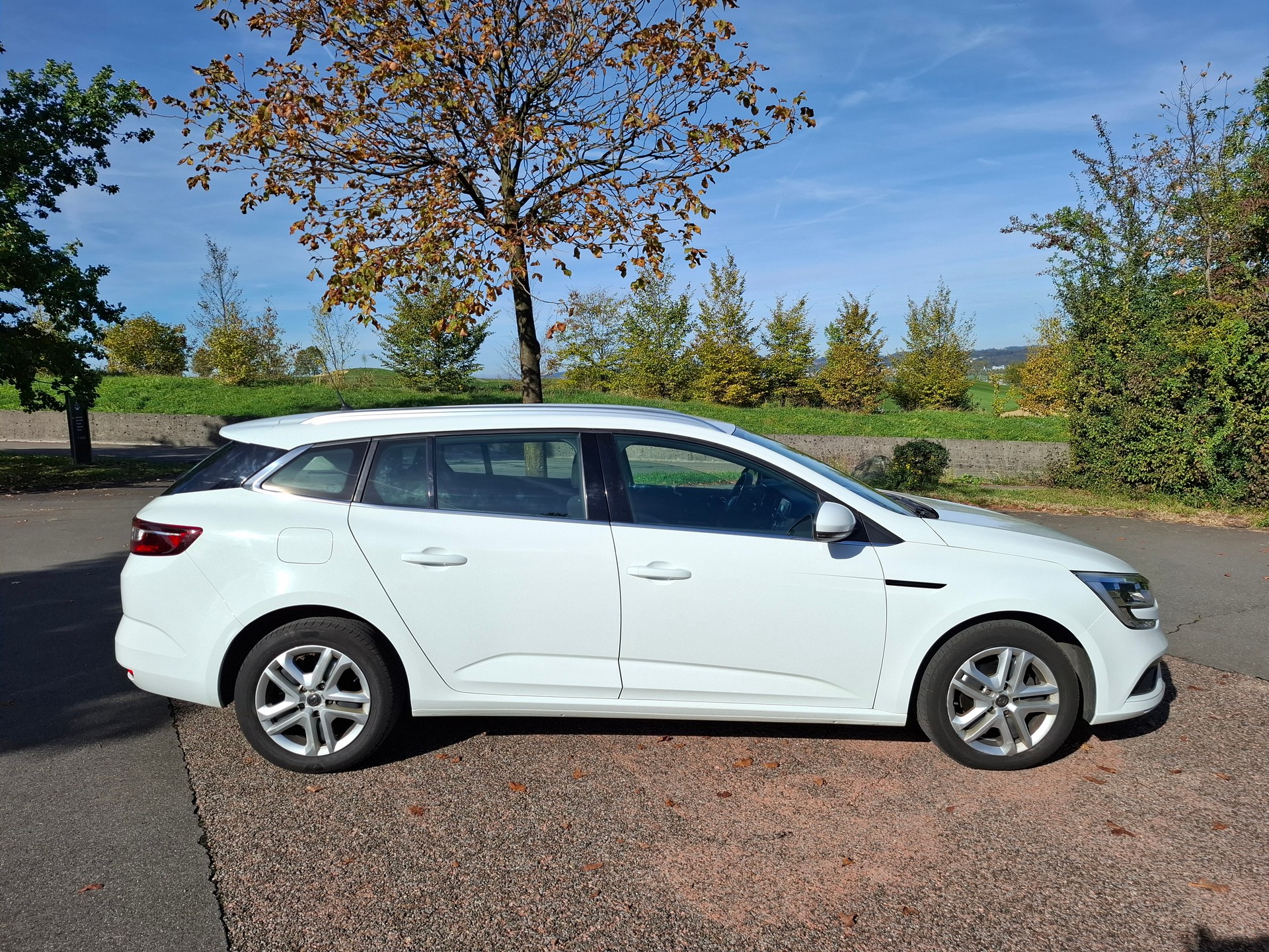 RENAULT Mégane Grandtour 1.5 dCi Business EDC-image-5