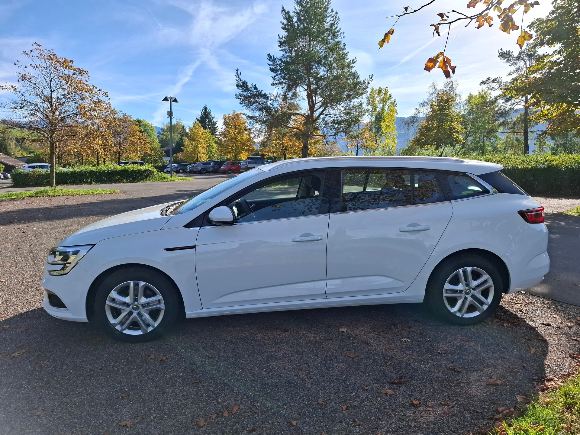 RENAULT Mégane Grandtour 1.5 dCi Business EDC-image-6