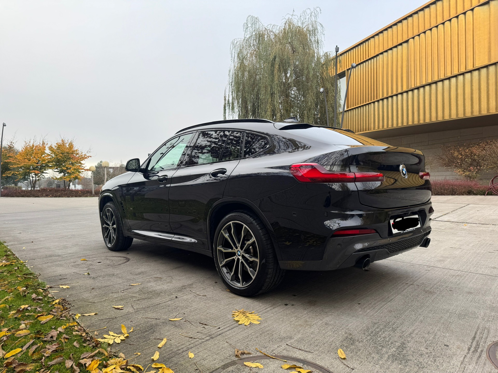 BMW X4 xDrive 48V 30d M Sport Steptronic-image-4