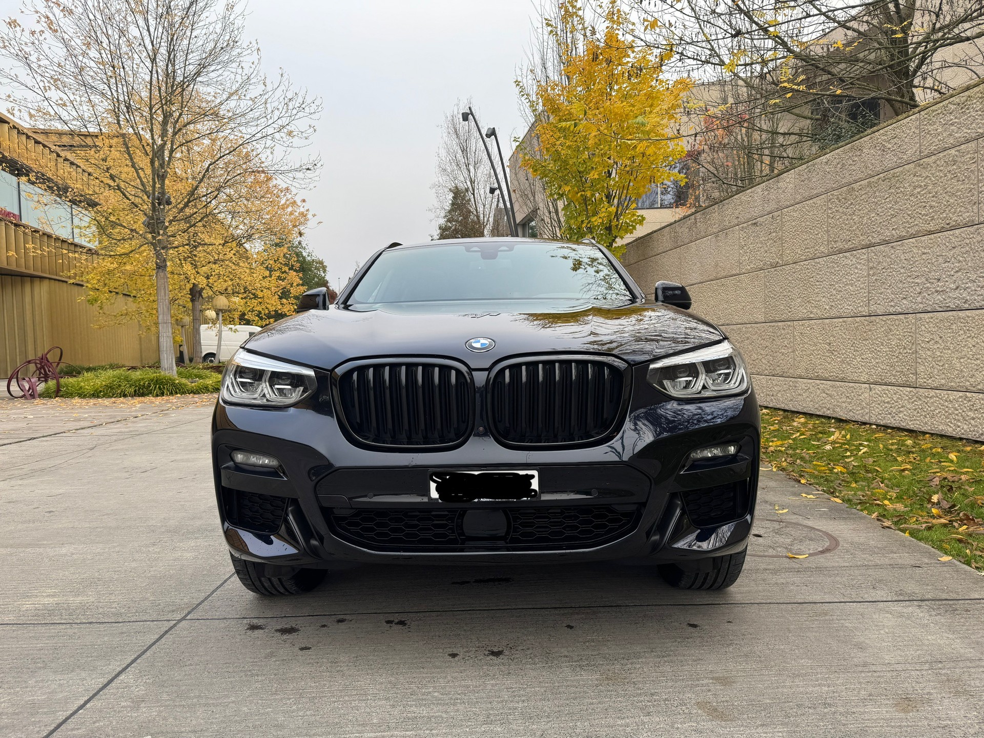 BMW X4 xDrive 48V 30d M Sport Steptronic-image-6