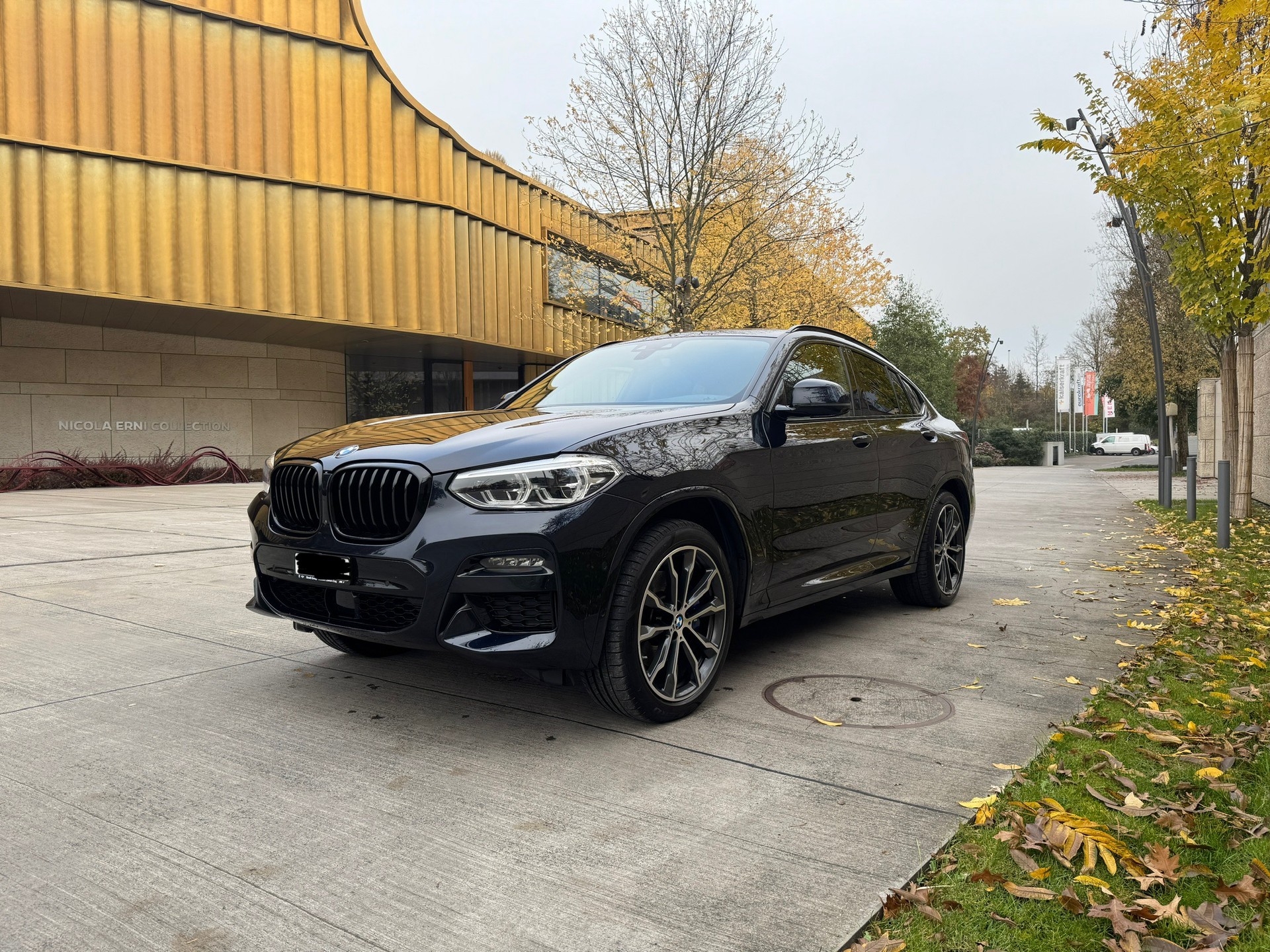 BMW X4 xDrive 48V 30d M Sport Steptronic-image-5