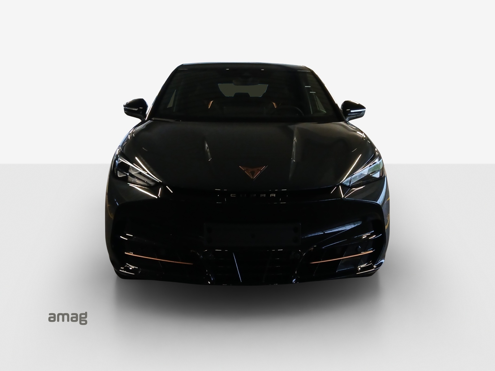 CUPRA Tavascan 77 kWh Edge 4D-image-6
