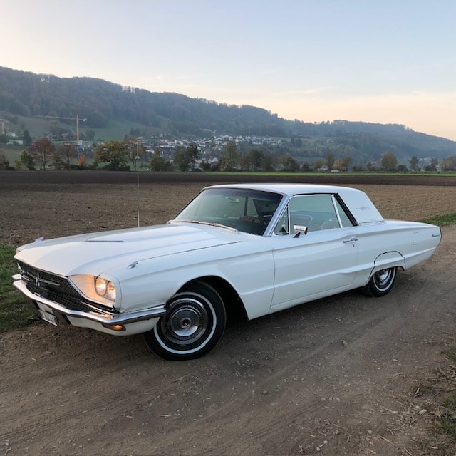 FORD Thunderbird-image-1