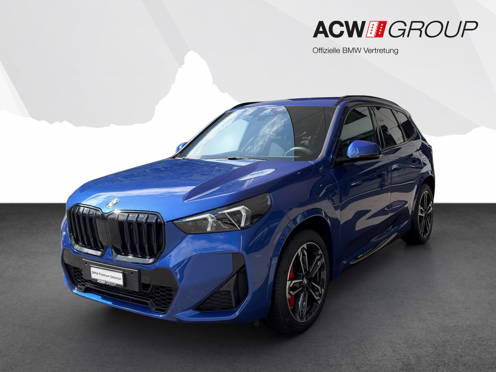 BMW X1 23i xDrive-image-0