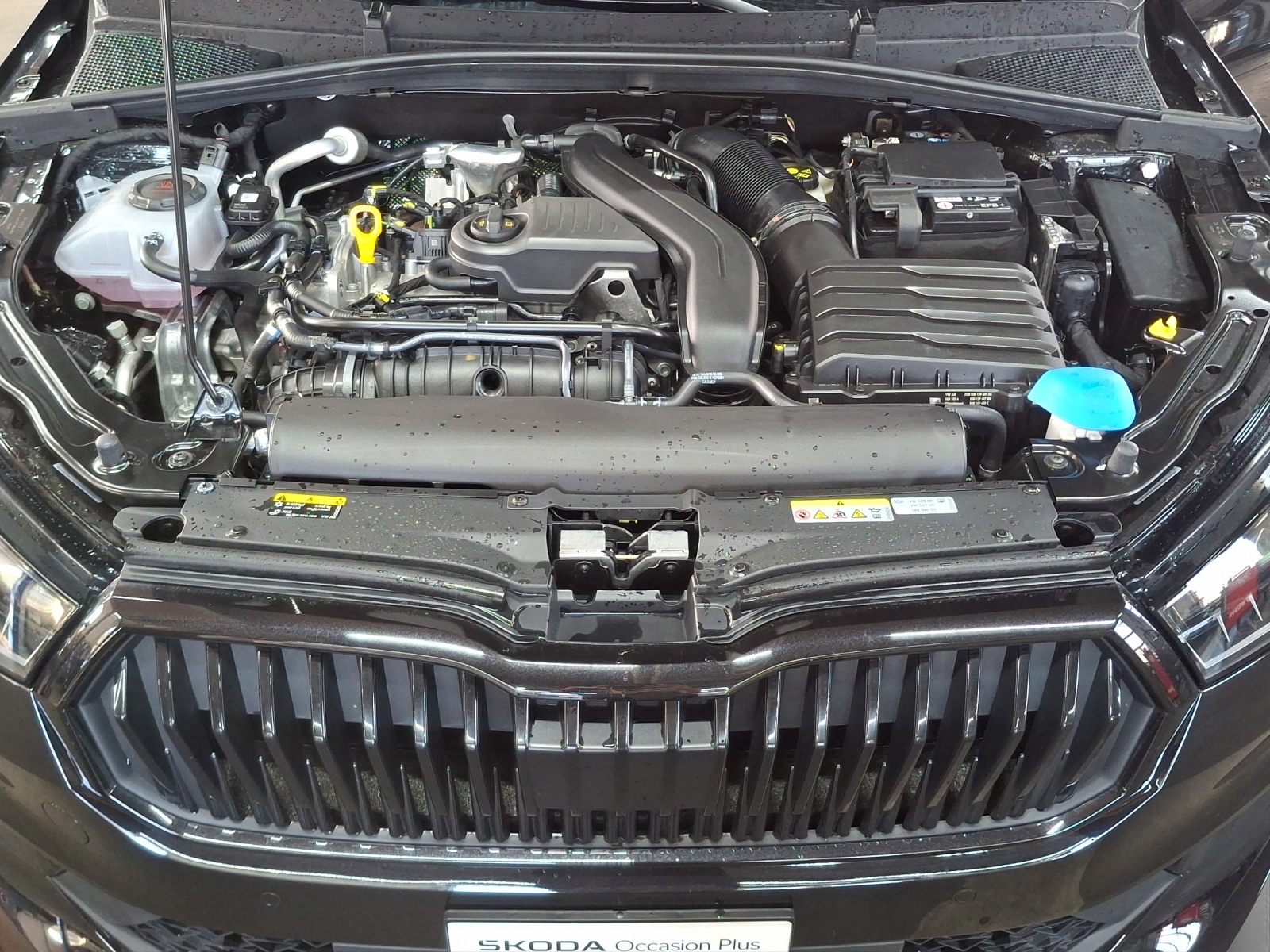 SKODA Fabia 1.5 TSI Monte Carlo DSG-image-15