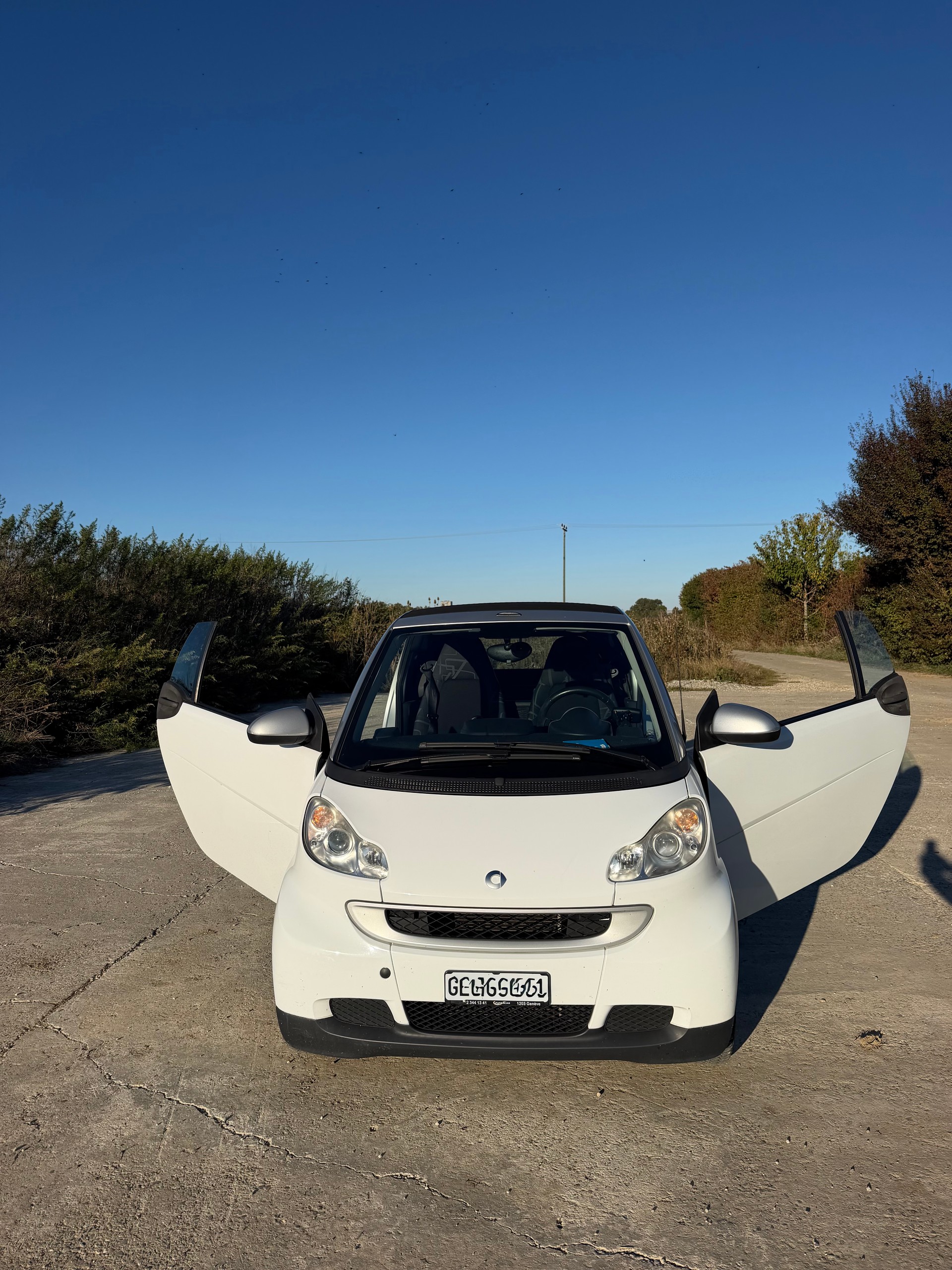 SMART 1000 71 limited ed. three mhd-image-1