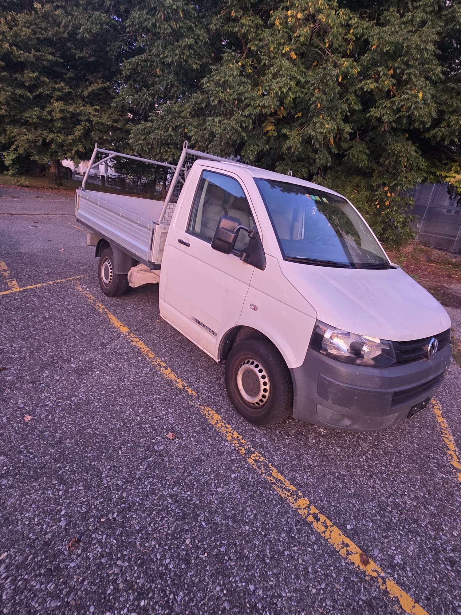 VW T5-image-0
