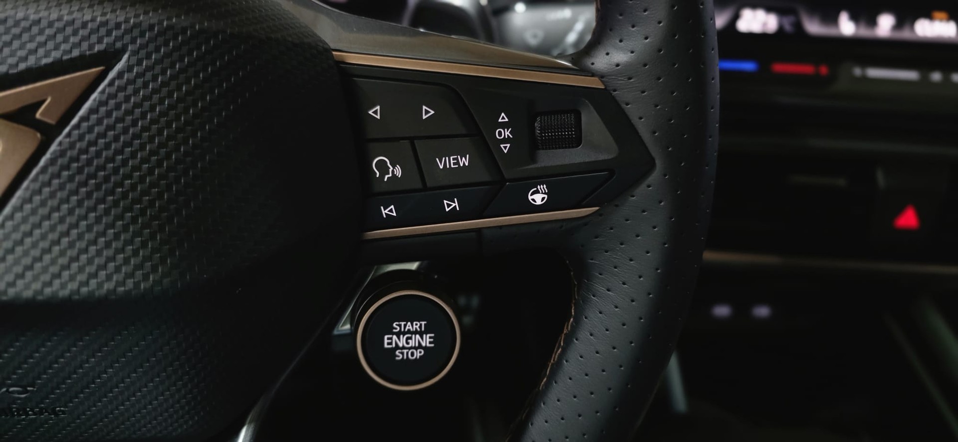 CUPRA Formentor 2.0TSI VZ 4Drive DSG *Elektrische Sitze*Lenkradheizung*ACC*360°Kamera*-image-12
