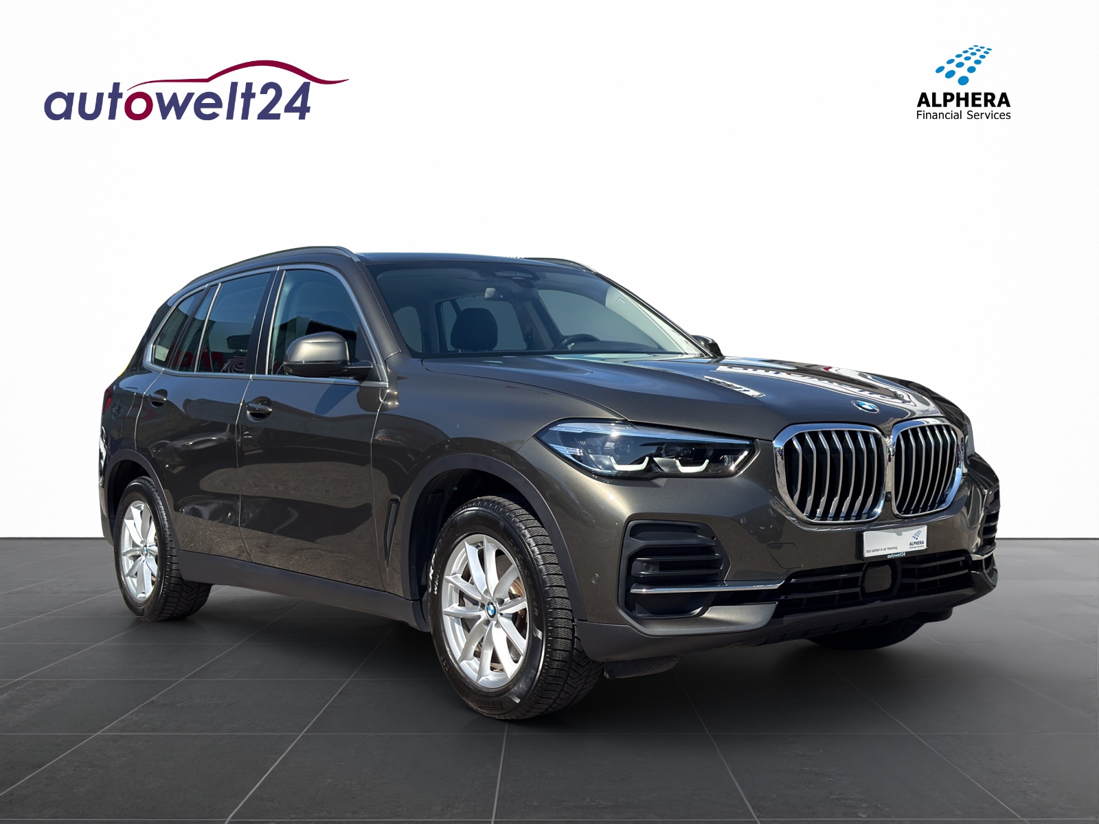 BMW X5 xDrive 48V 30d Steptronic-image-2