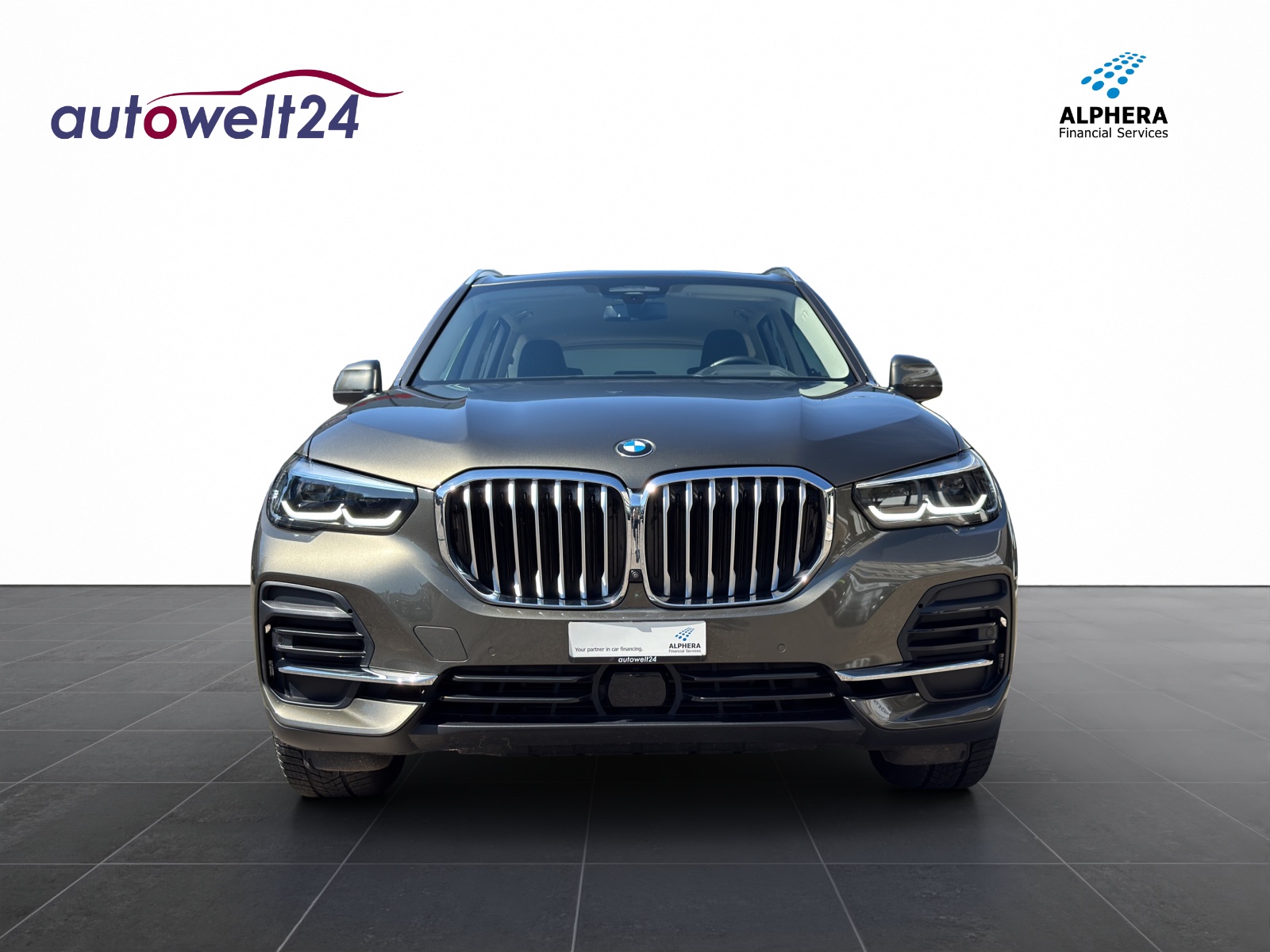 BMW X5 xDrive 48V 30d Steptronic-image-1