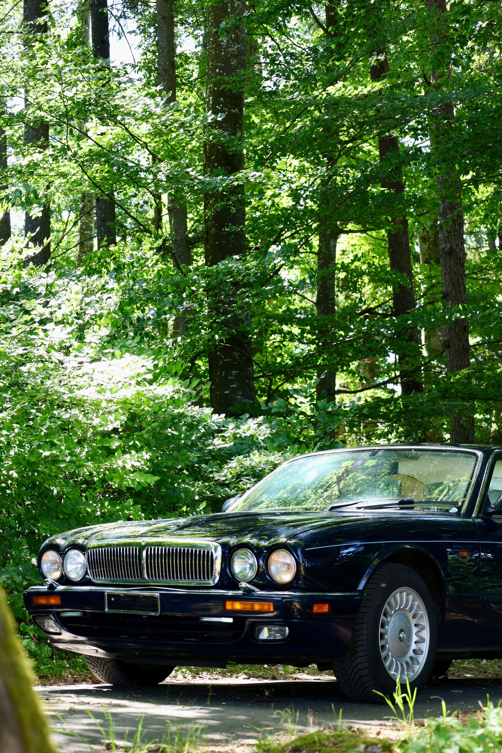 JAGUAR XJ 3.2 Executive-image-3