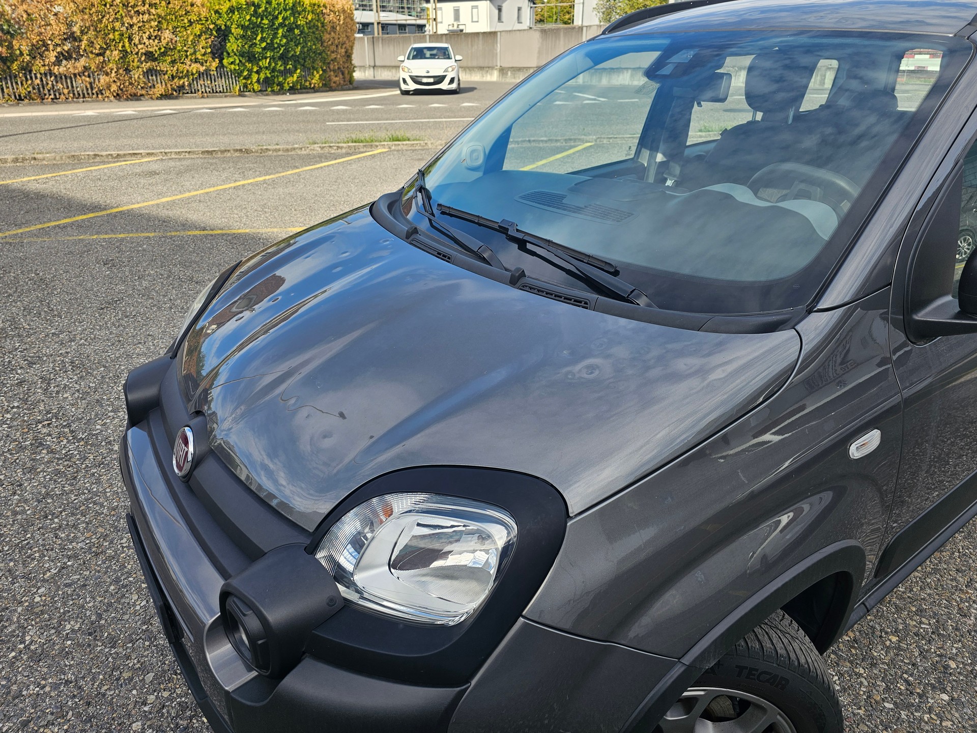 FIAT Panda 1.0 MHEV City Cross-image-2
