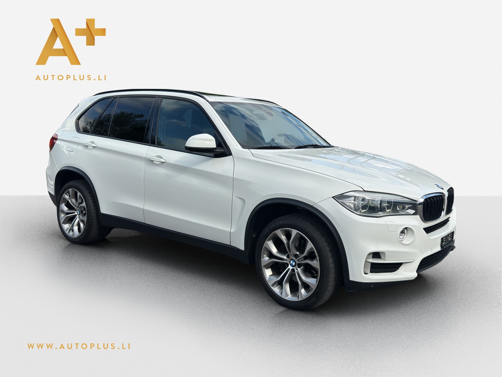 BMW X5 xDrive 40d Steptronic-image-2
