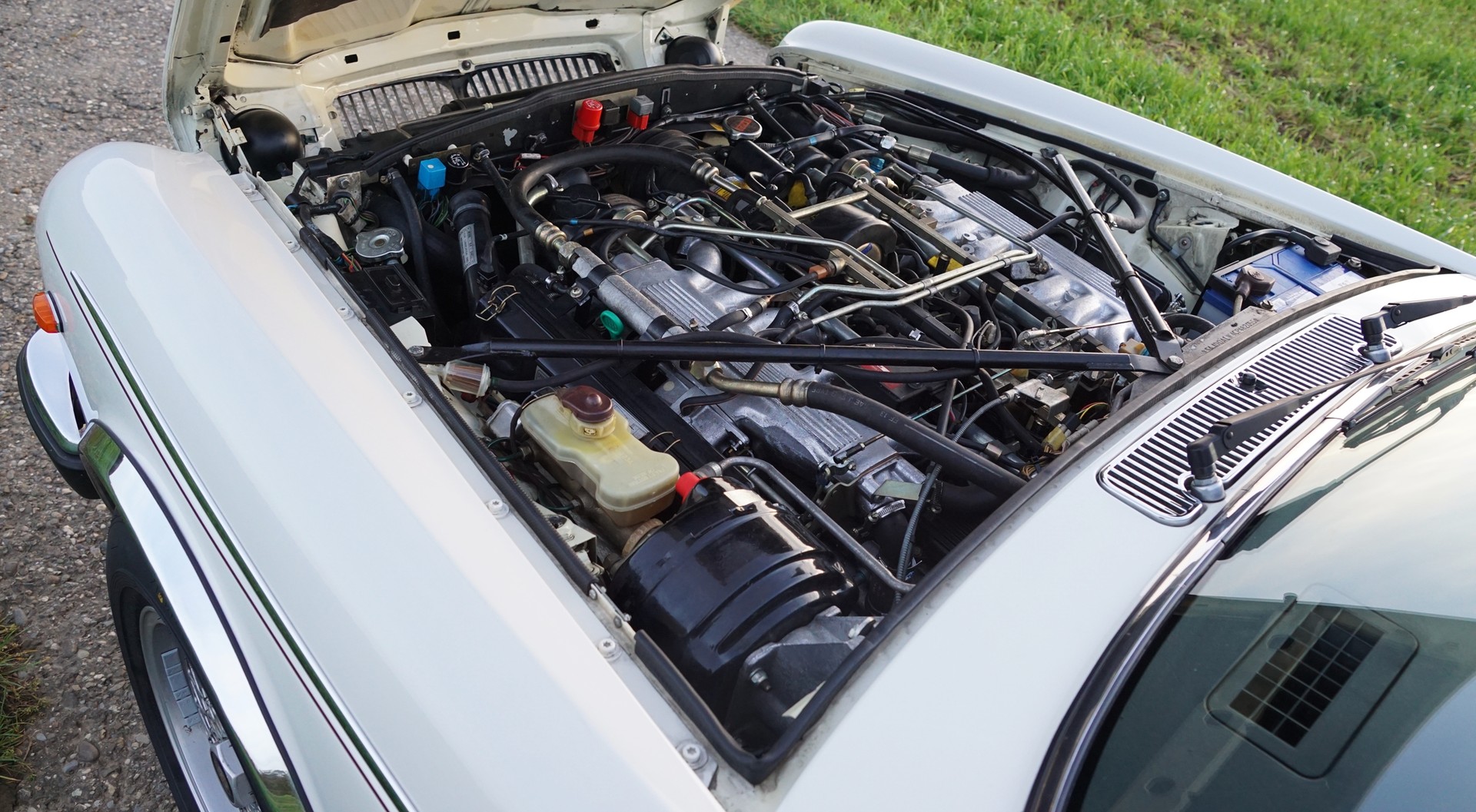 DAIMLER 5.3 Double Six-image-4
