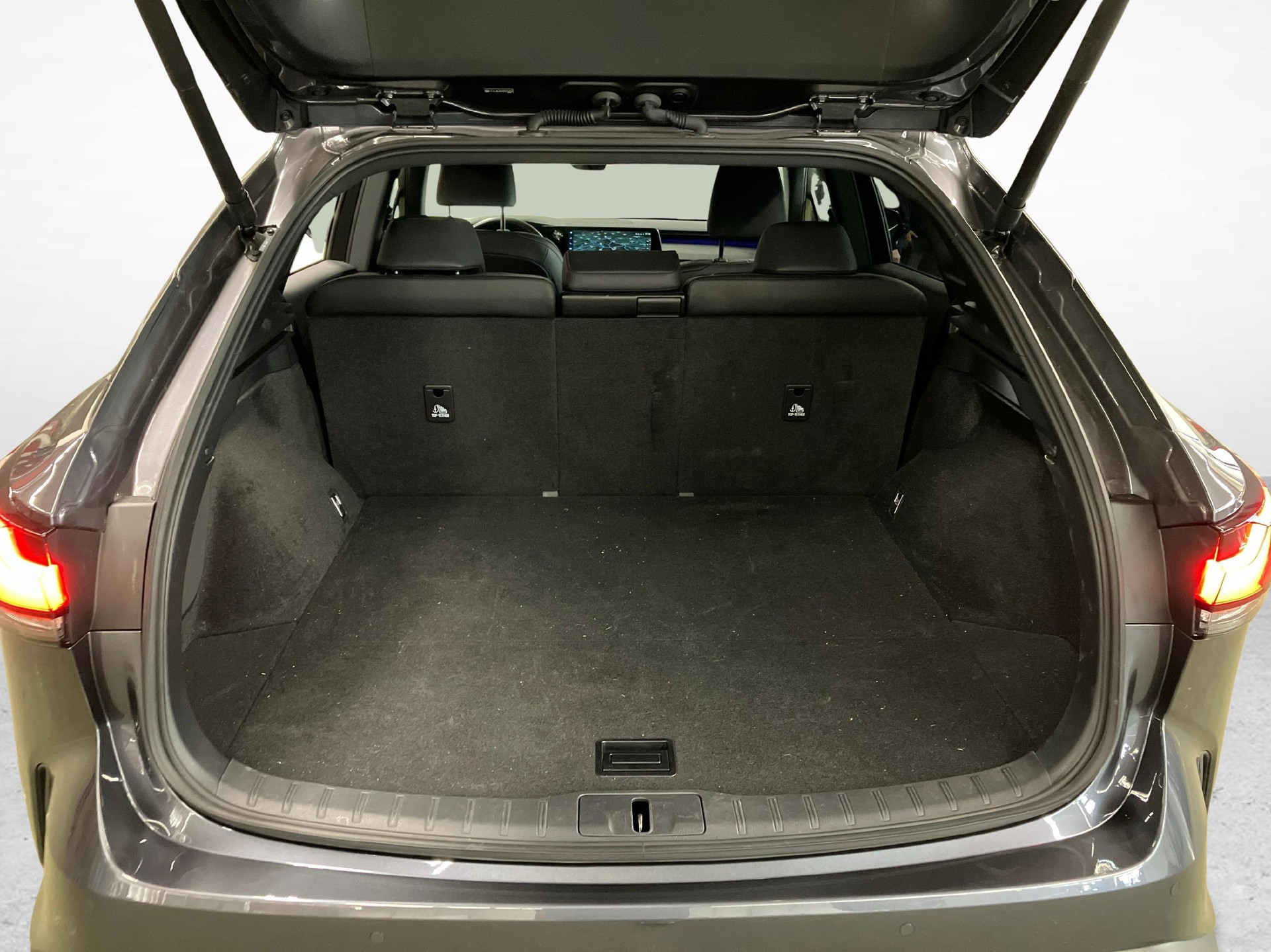 LEXUS RX 350h F-Line-image-11