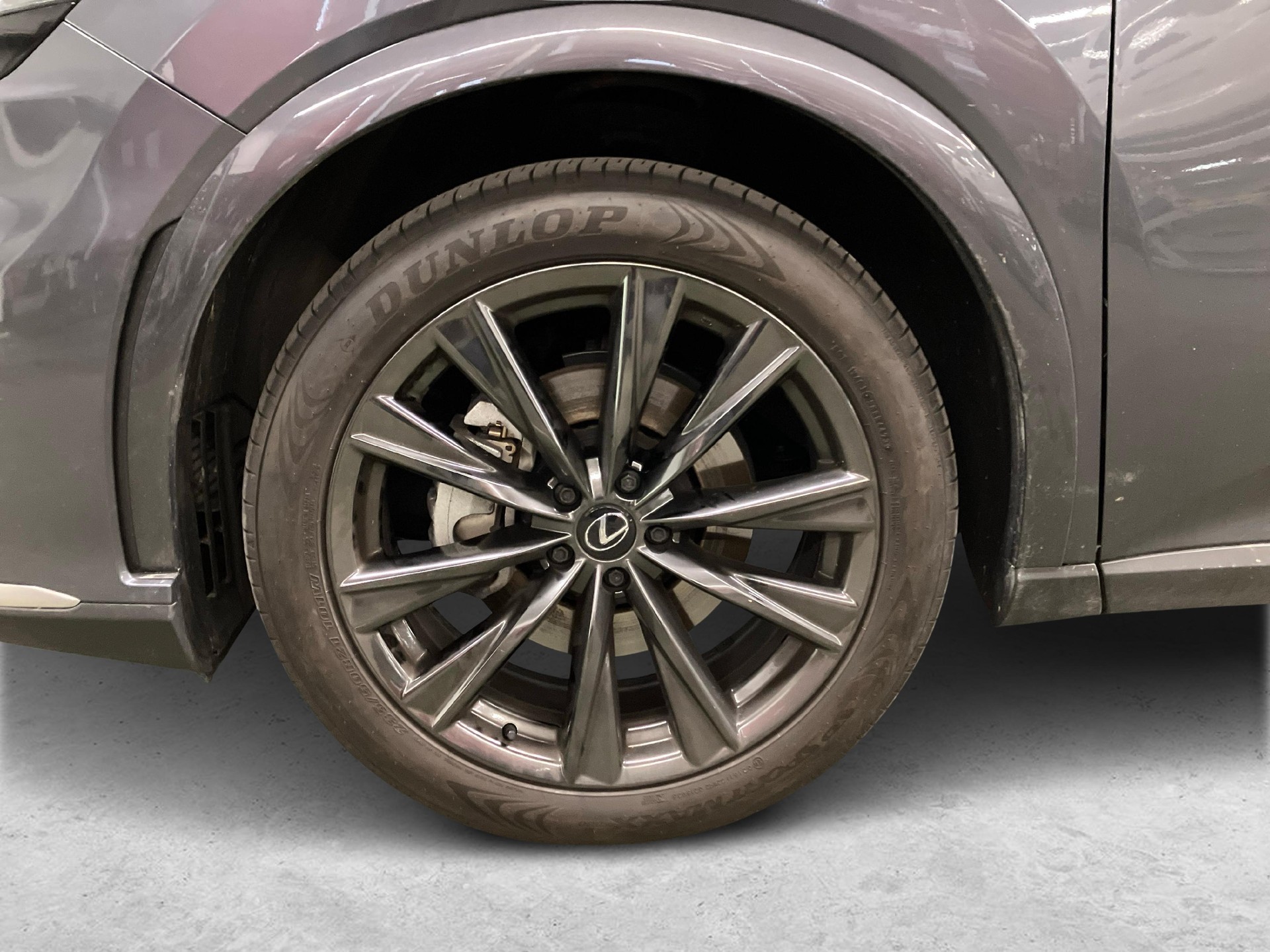 LEXUS RX 350h F-Line-image-14