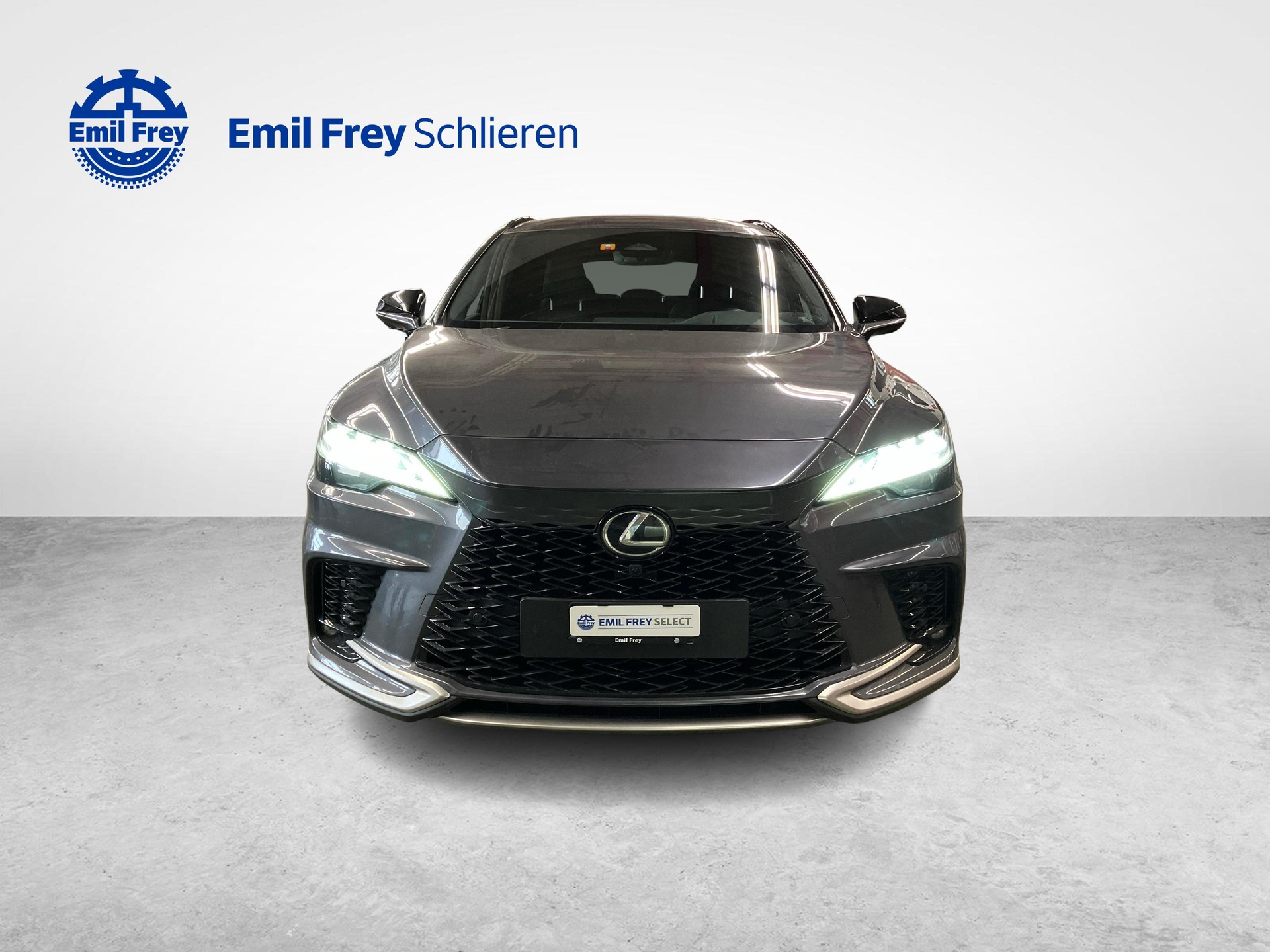 LEXUS RX 350h F-Line-image-7