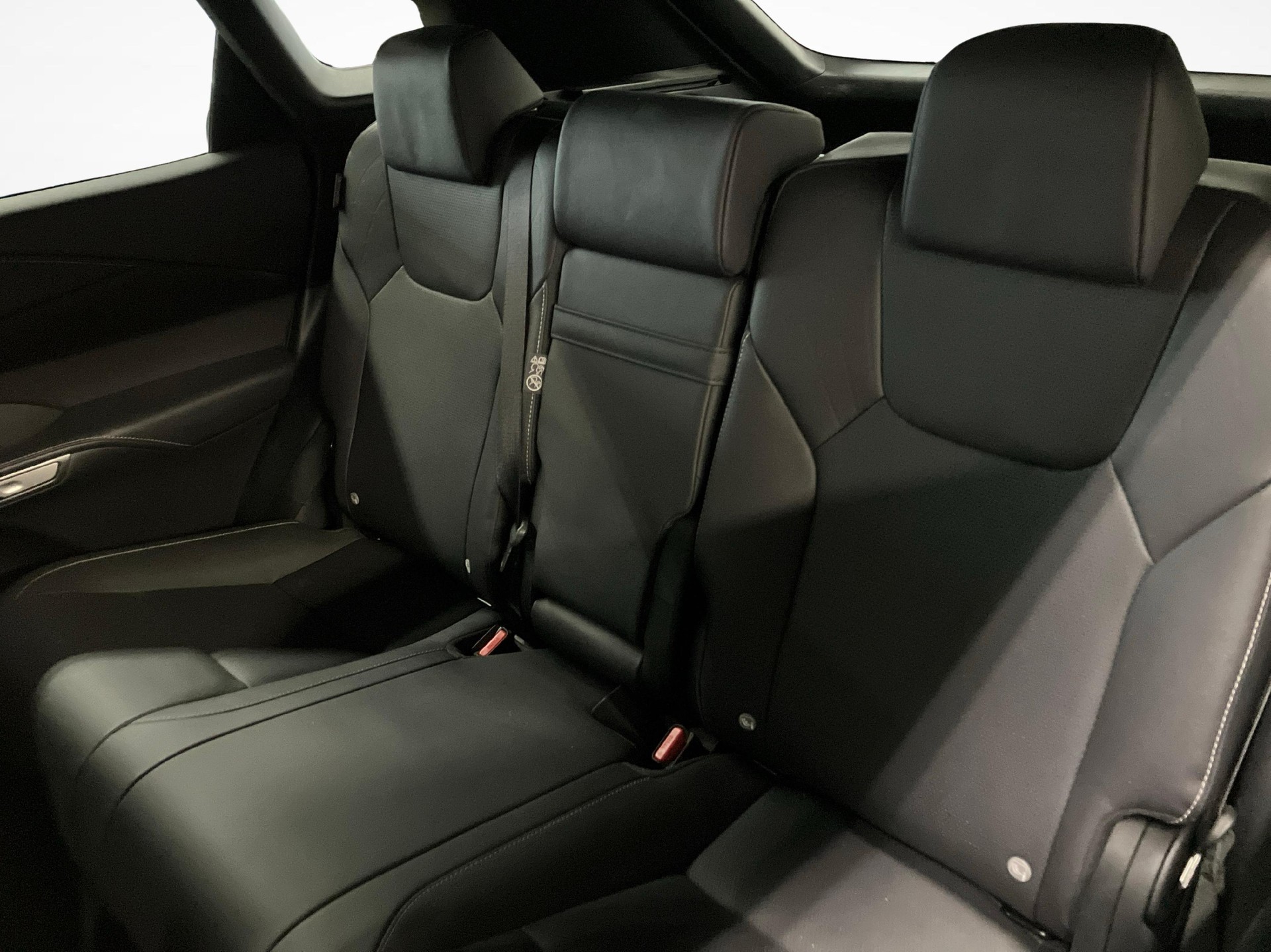 LEXUS RX 350h F-Line-image-10