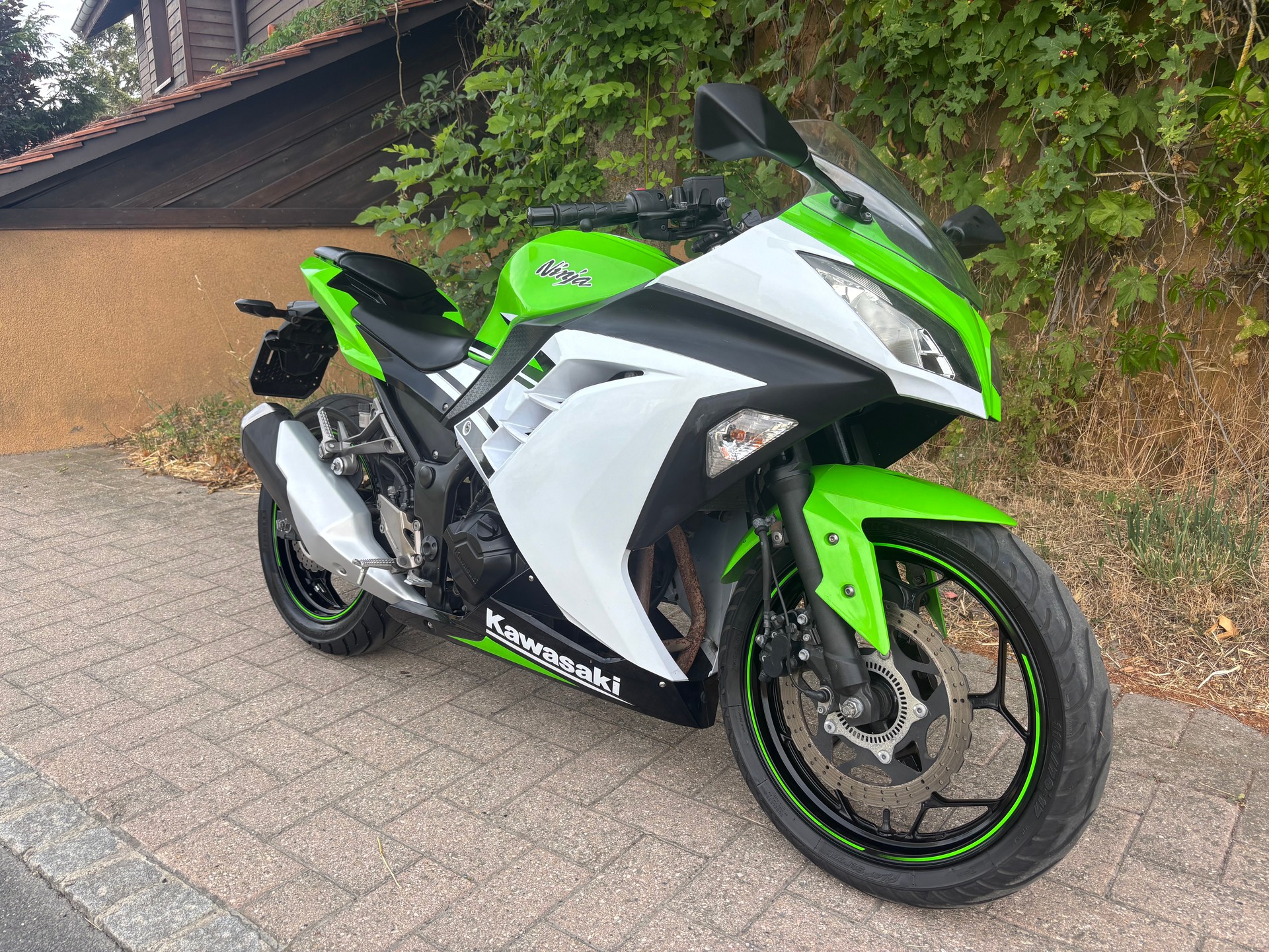 KAWASAKI Ninja 300 ABS-image-5