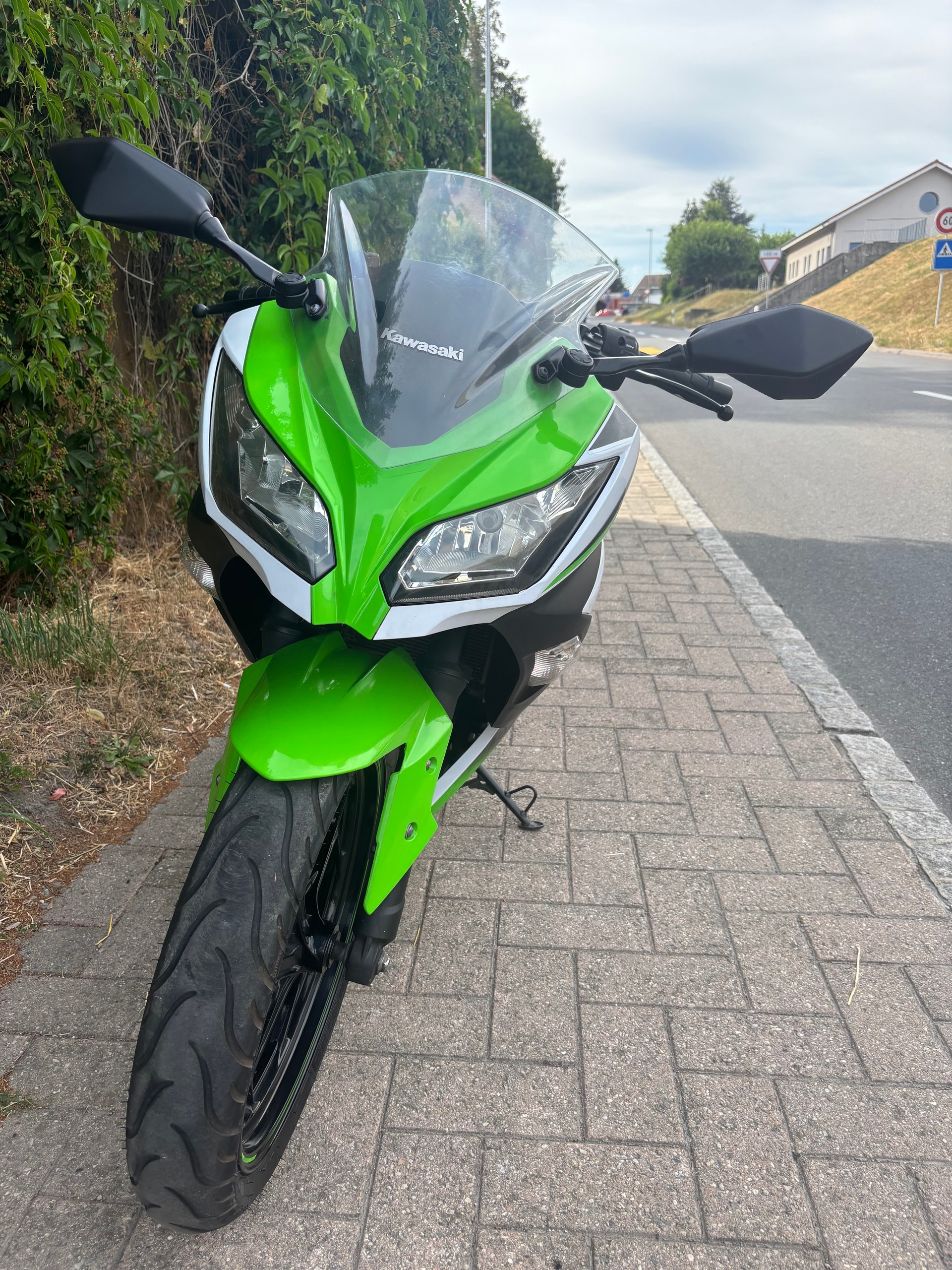 KAWASAKI Ninja 300 ABS-image-3
