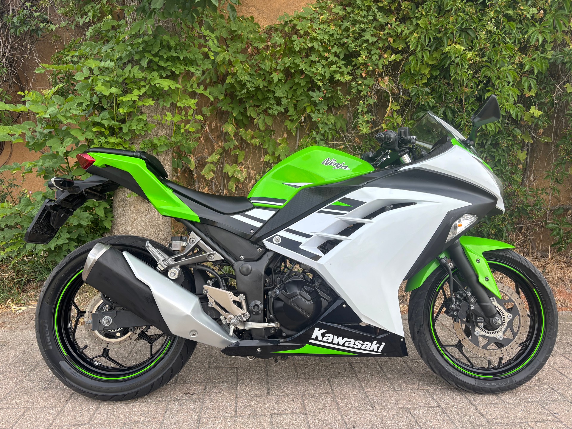 KAWASAKI Ninja 300 ABS-image-6