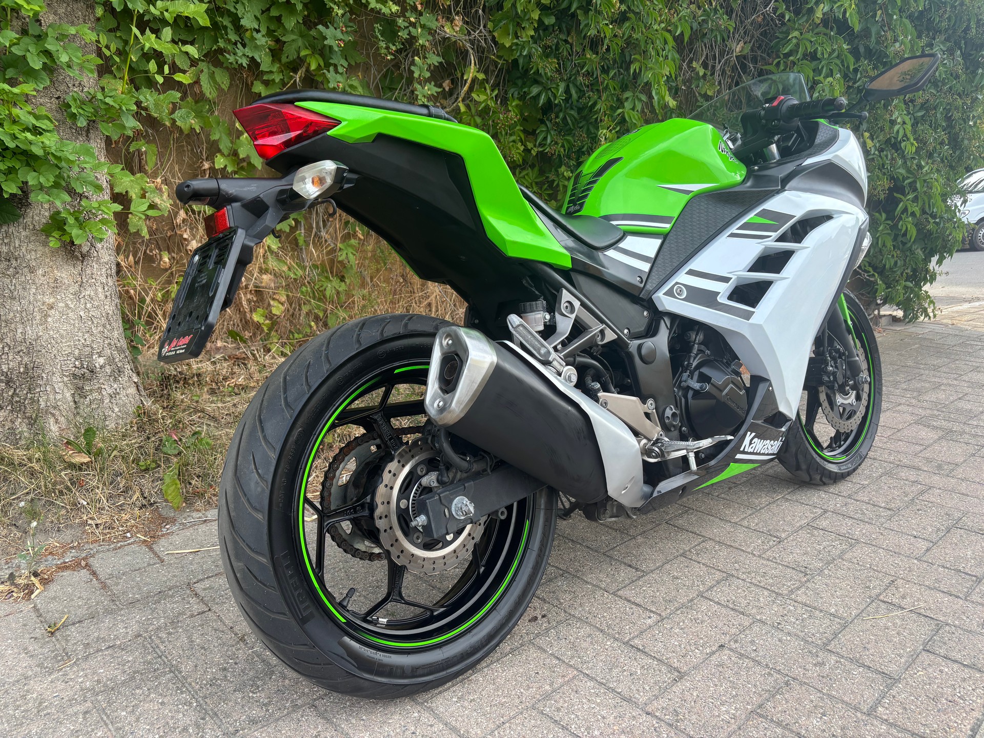 KAWASAKI Ninja 300 ABS-image-7