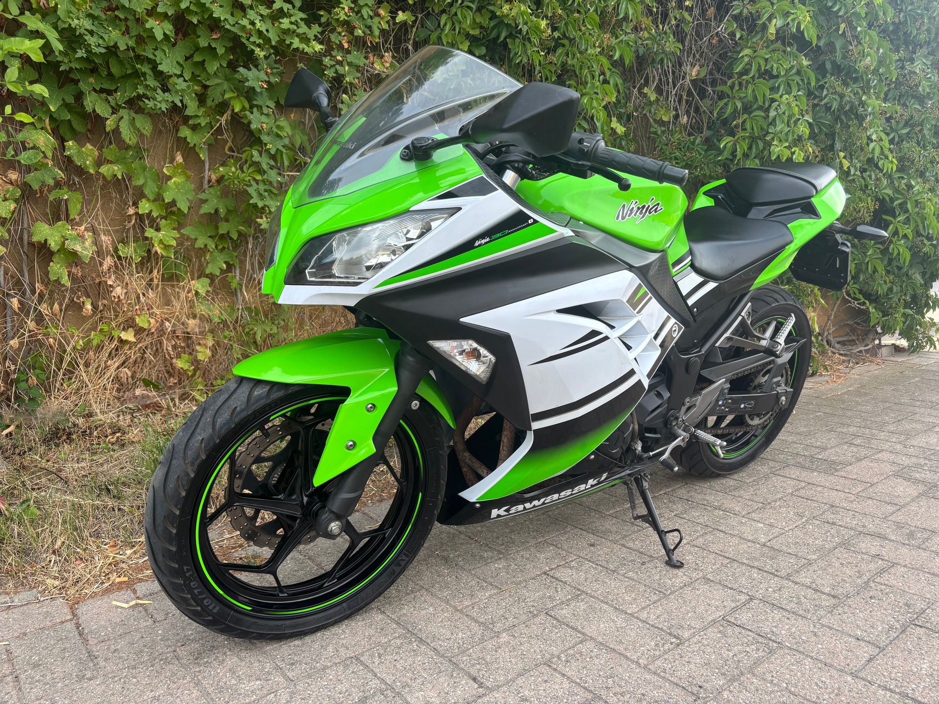 KAWASAKI Ninja 300 ABS-image-2