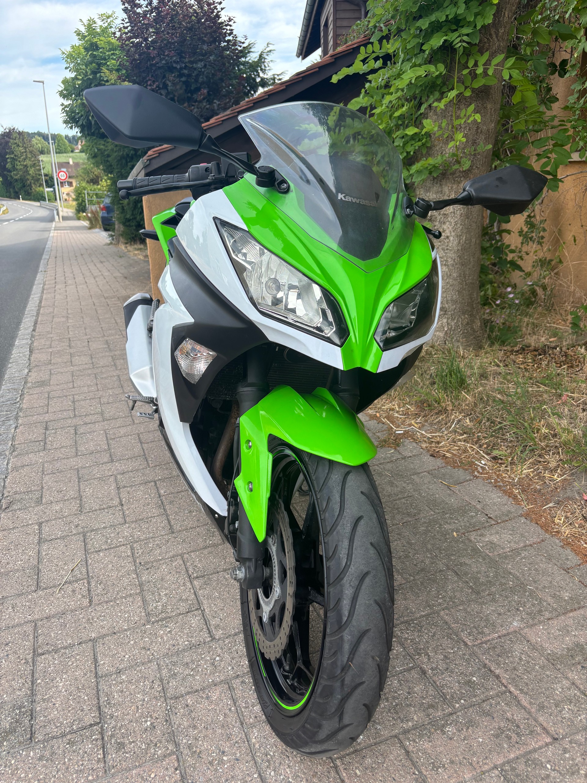 KAWASAKI Ninja 300 ABS-image-4