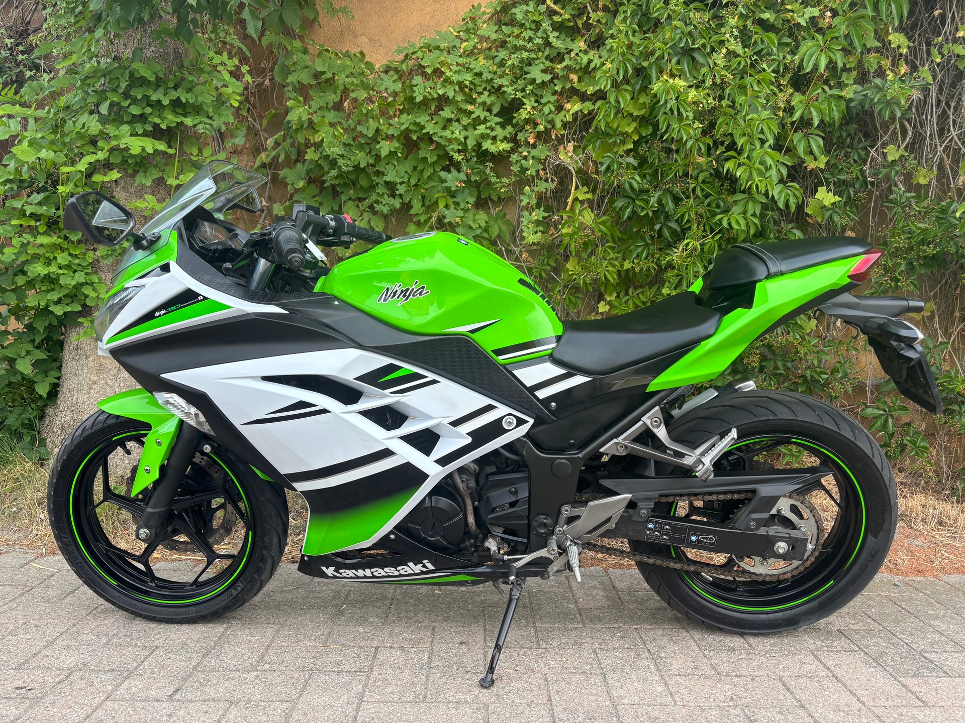 KAWASAKI Ninja 300 ABS-image-1