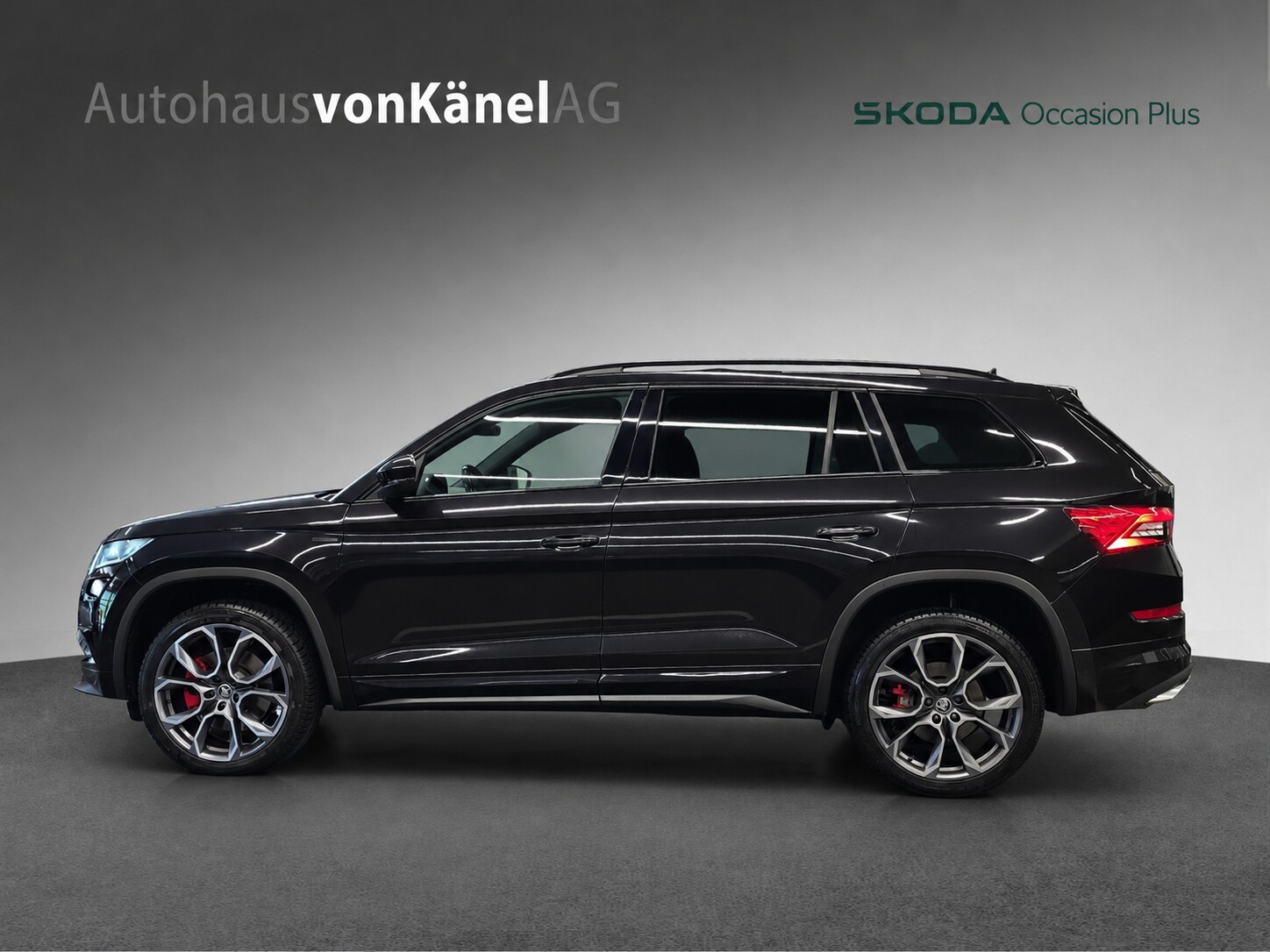 SKODA Kodiaq 2.0 Bi-TDI SCR RS 4x4 DSG-showroom-element-1