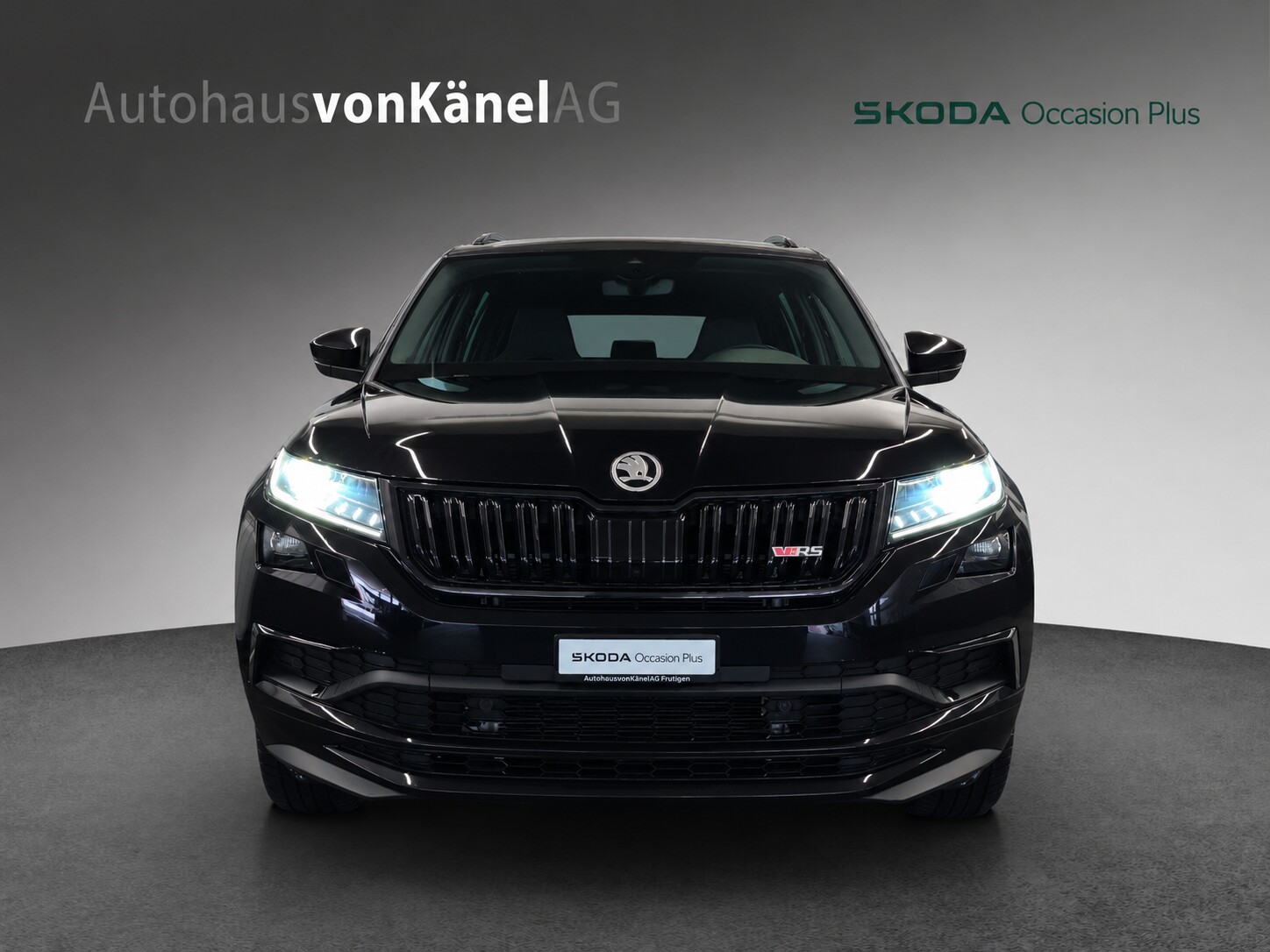 SKODA Kodiaq 2.0 Bi-TDI SCR RS 4x4 DSG-showroom-element-3