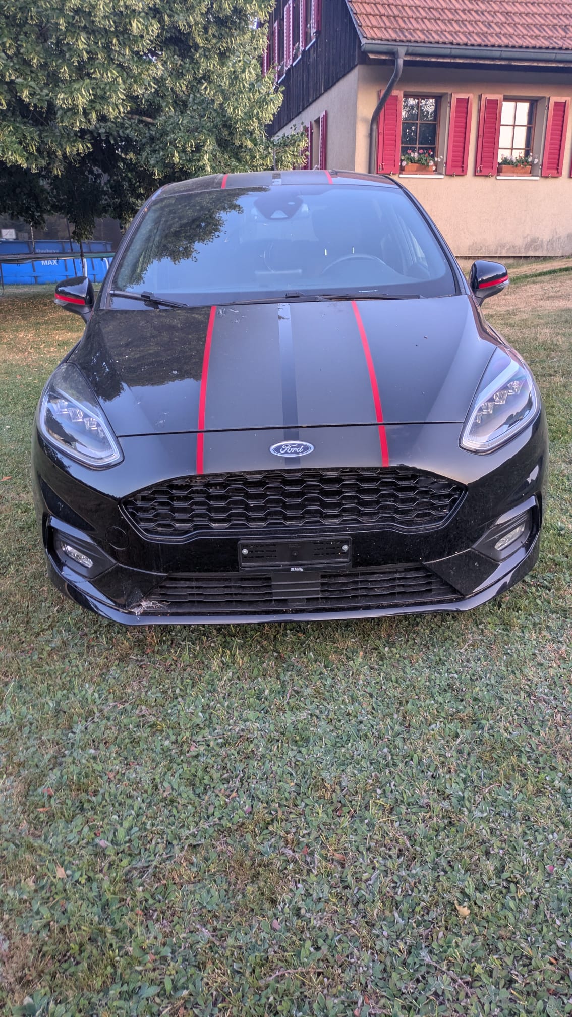FORD 1.0 EcoB 140 Panther Edition-image-3