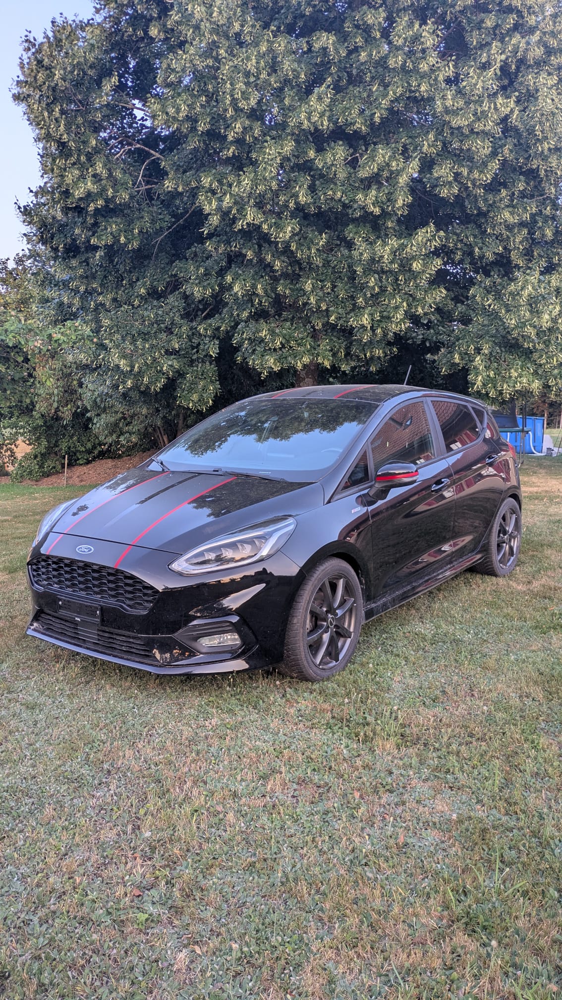 FORD 1.0 EcoB 140 Panther Edition-image-4