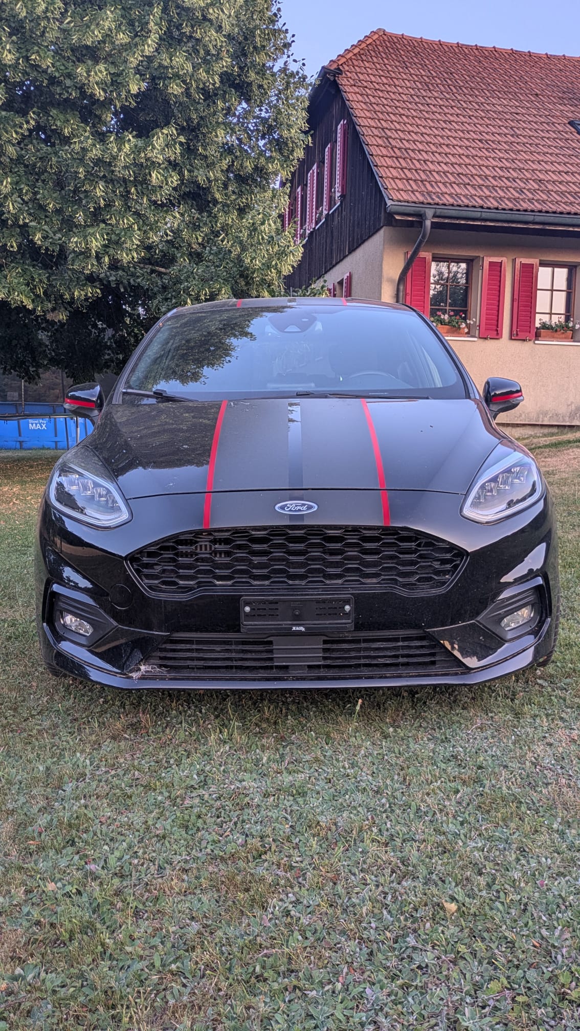 FORD 1.0 EcoB 140 Panther Edition-image-0
