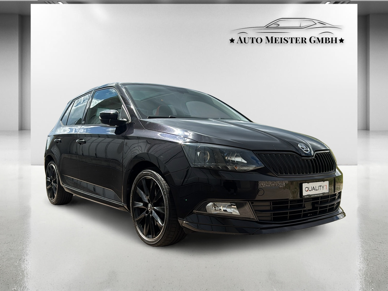 SKODA Fabia 1.2 TSI Monte Carlo-image-4
