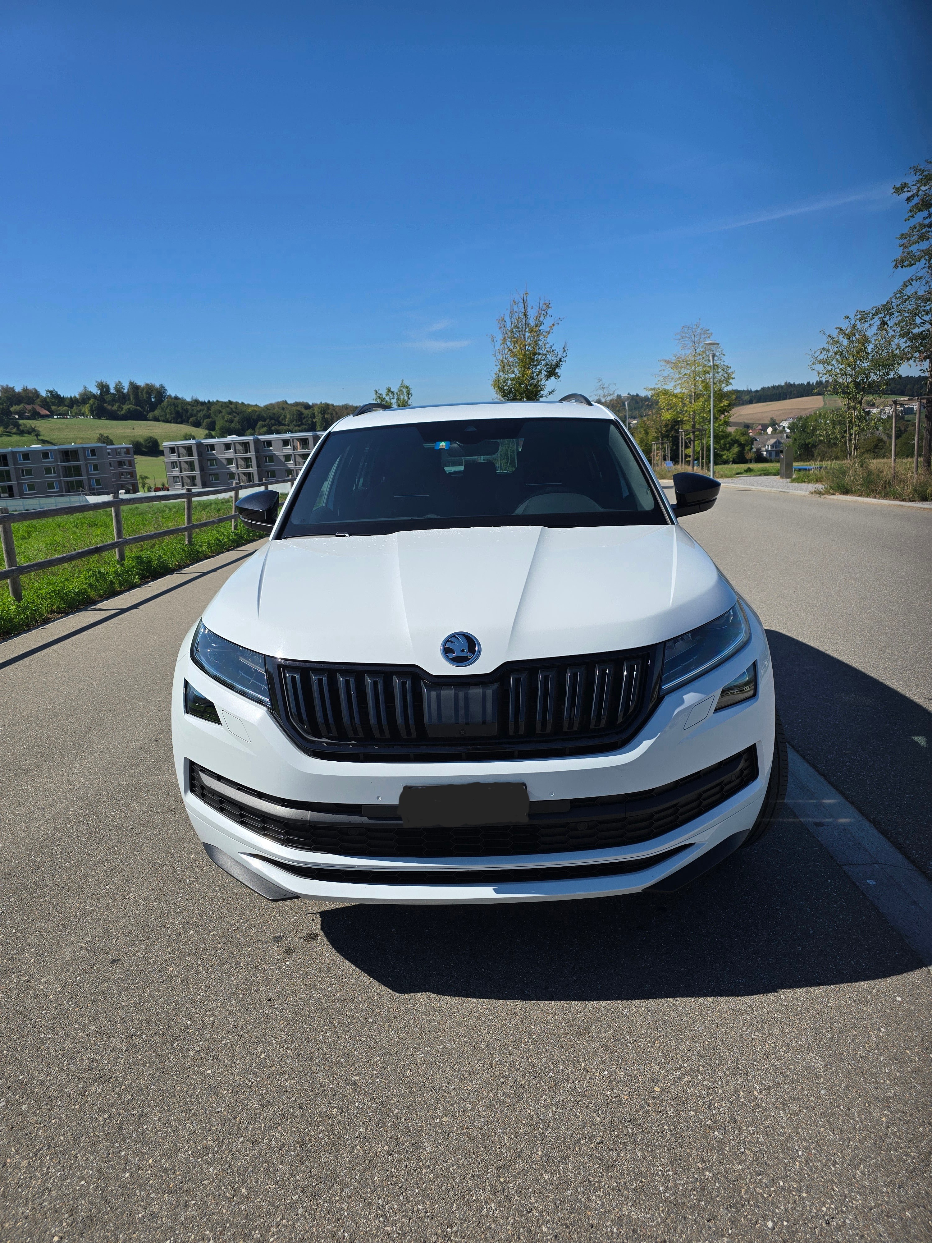 SKODA 2.0 TSI Sportline DSG — slika 4