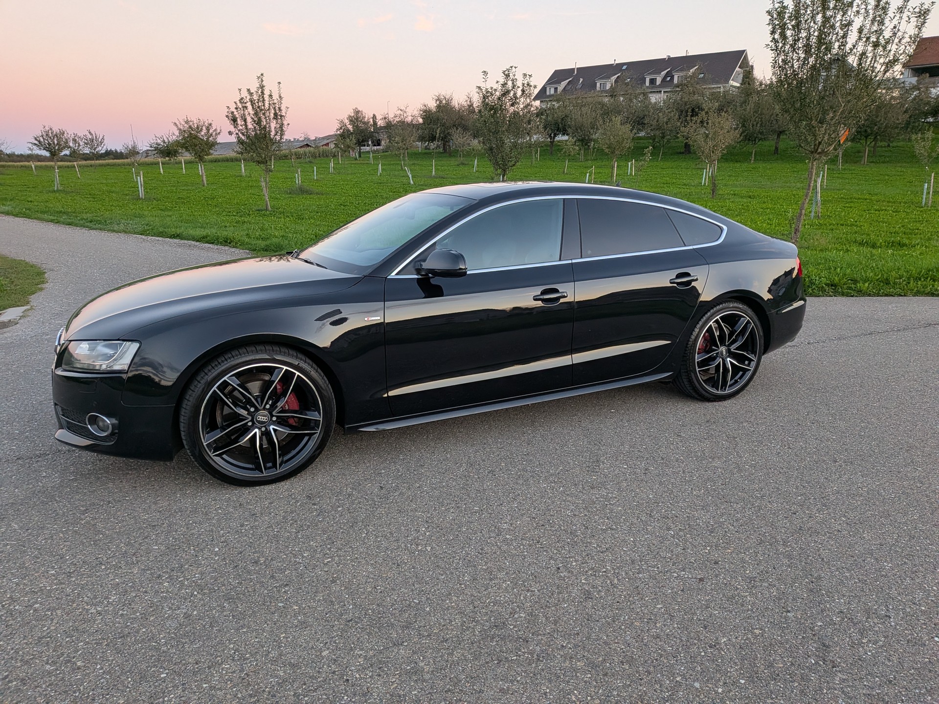 AUDI A5 Sportback 3.0 TDI quattro S-tronic-image-6