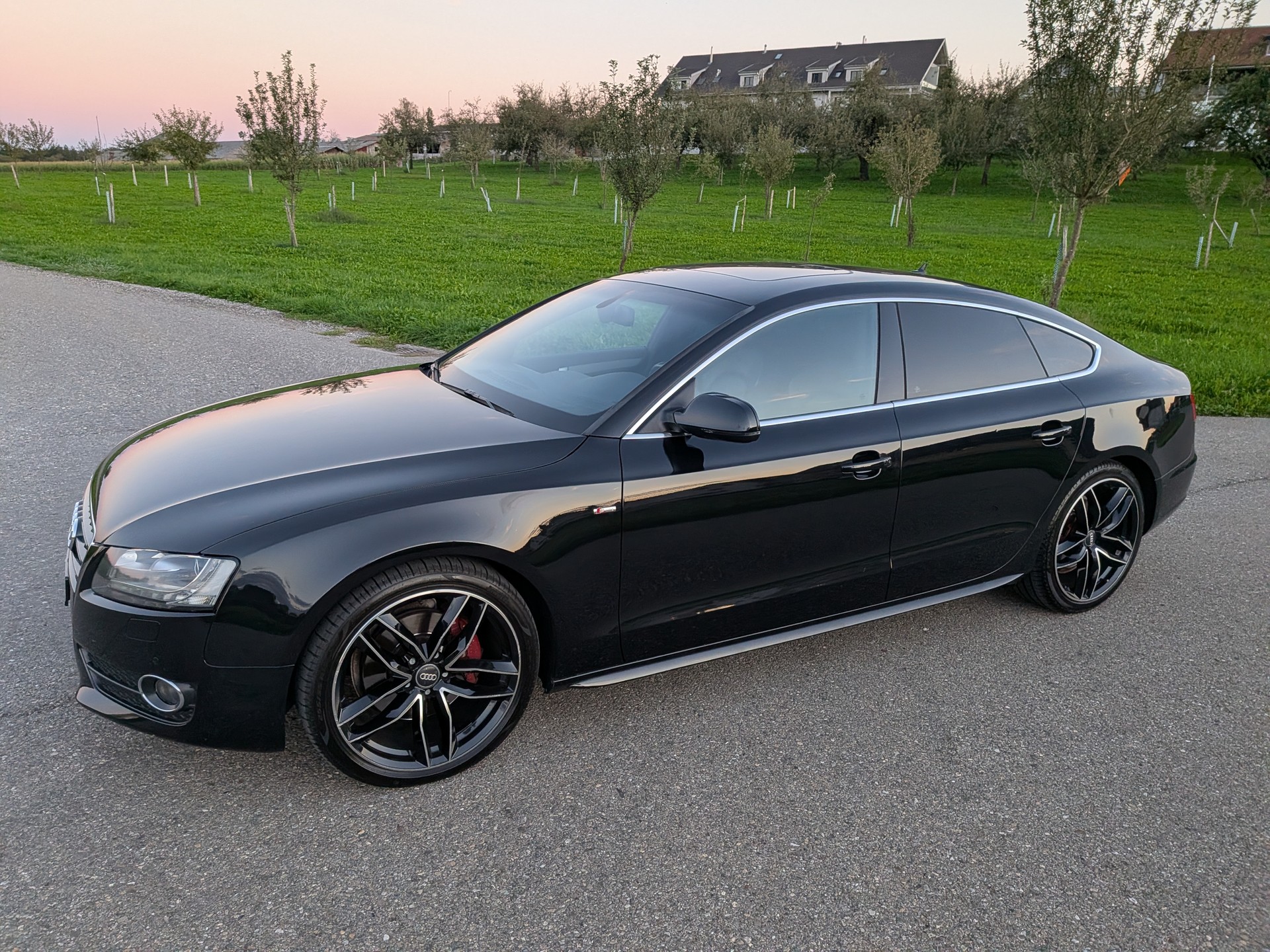 AUDI A5 Sportback 3.0 TDI quattro S-tronic-image-4