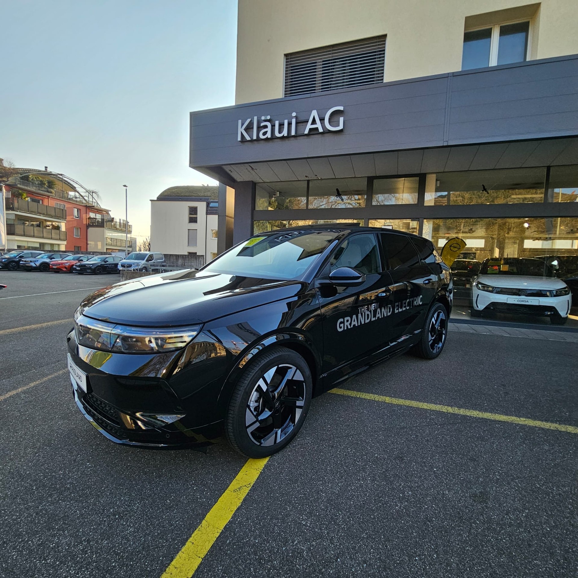 OPEL Grandland El. 73kWh GS-image-18