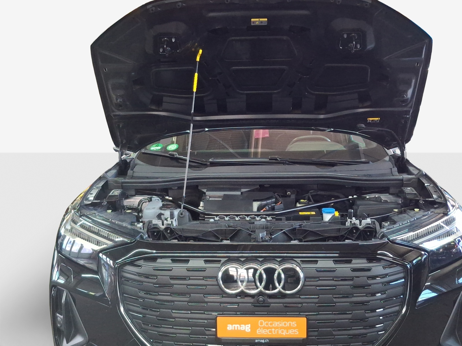 AUDI Q4 e-tron 50 quattro-image-16