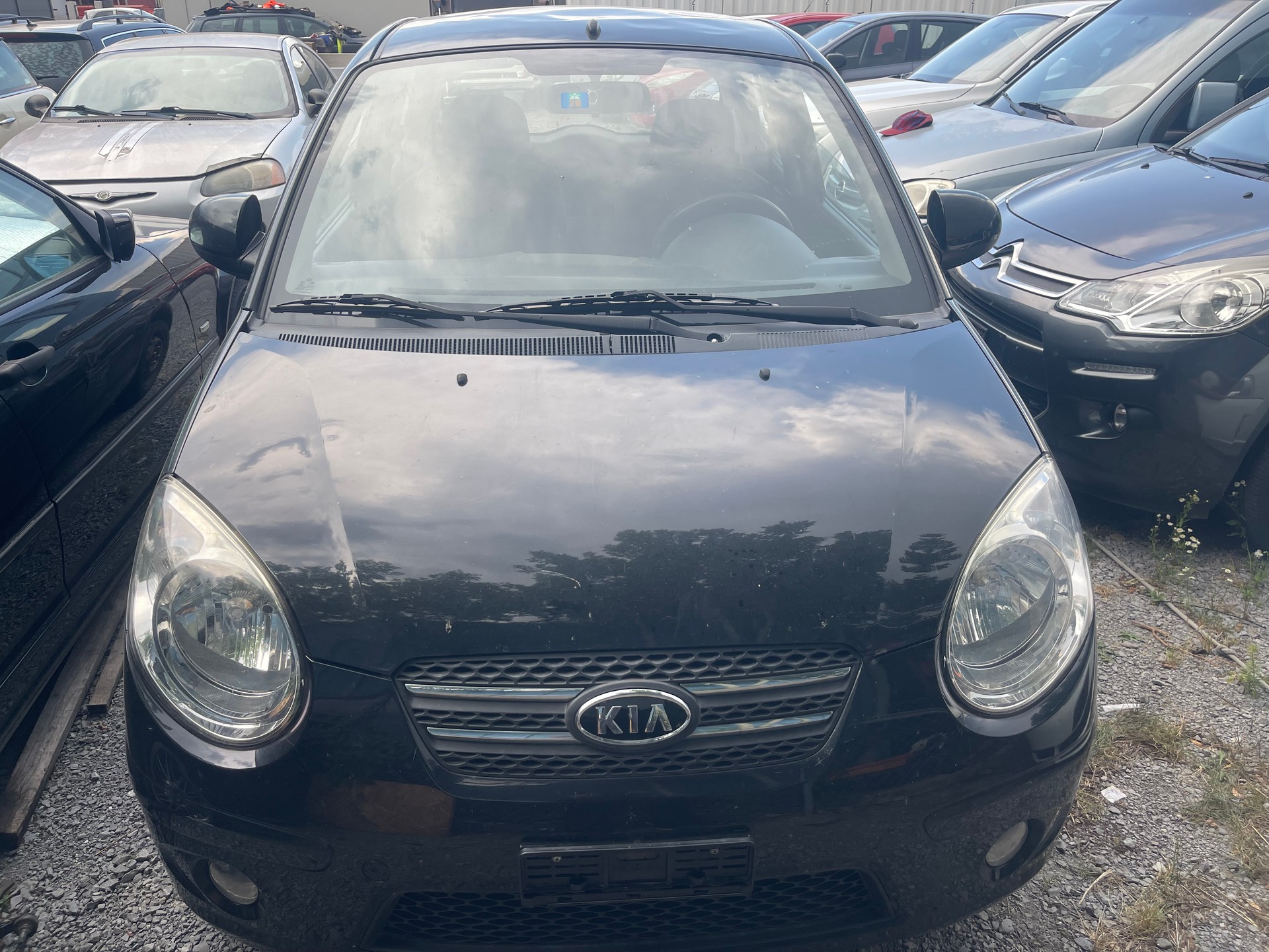 KIA Picanto 1.1 Trend Automatic-image-0