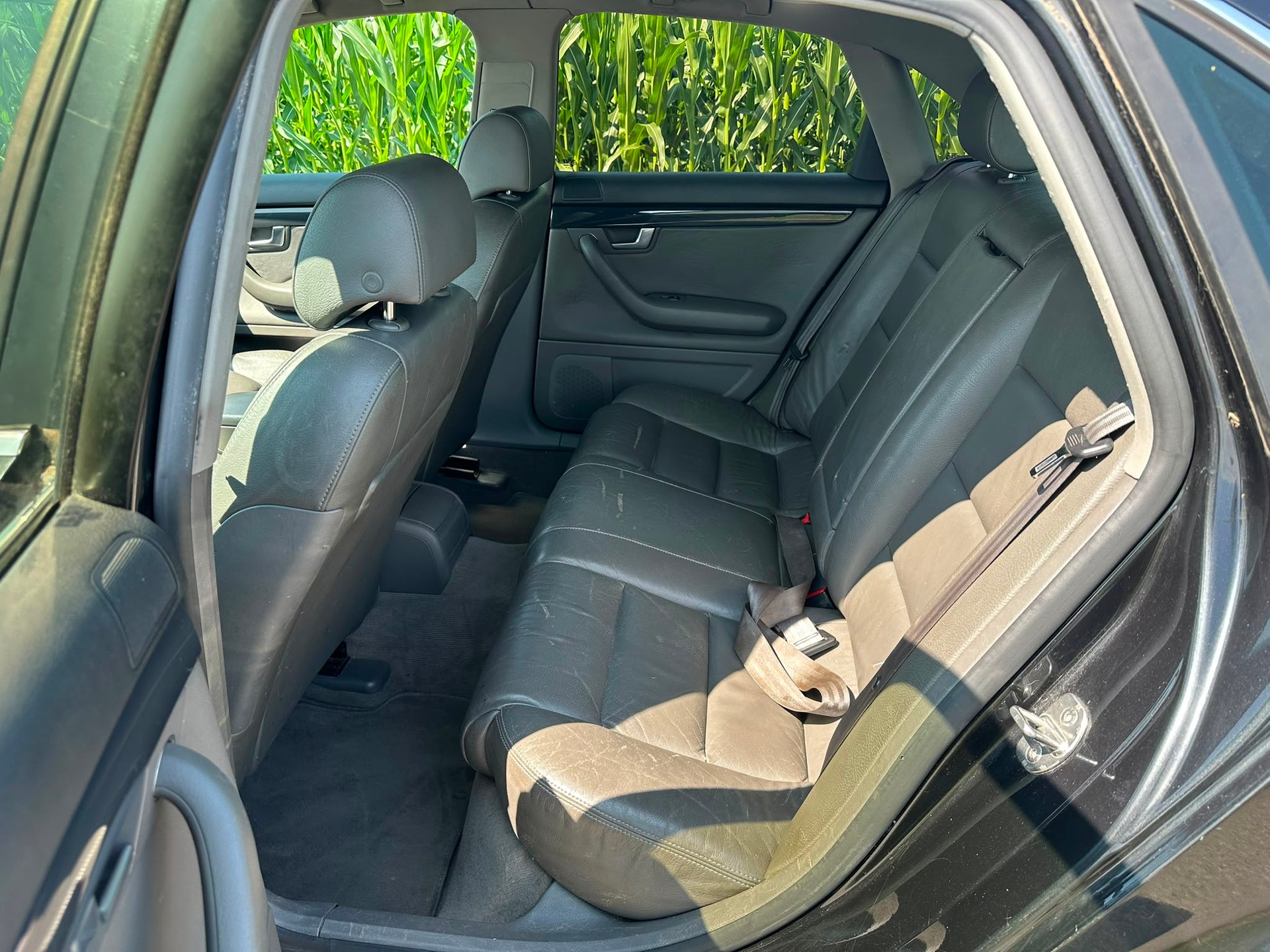 AUDI A4 2.5 TDI quattro-image-11