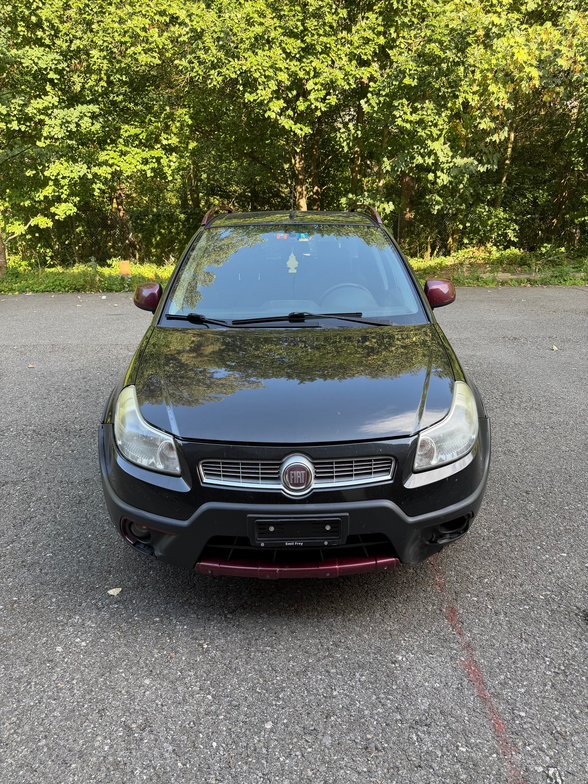 FIAT Sedici 1.6 2WD Dynamic Automatic-image-1