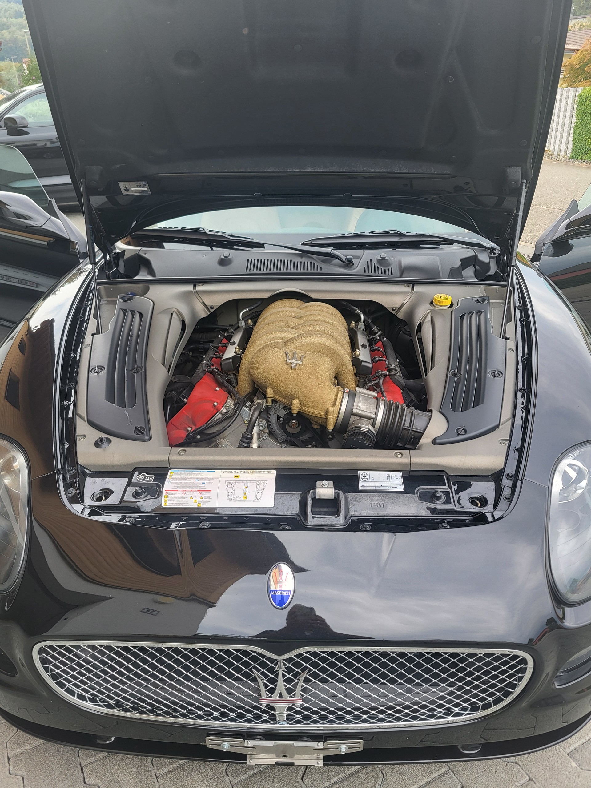 MASERATI 4.2 V8 GT Cambiocorsa-image-1