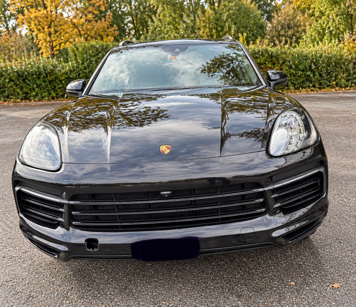 PORSCHE 3.0 V6-image-2