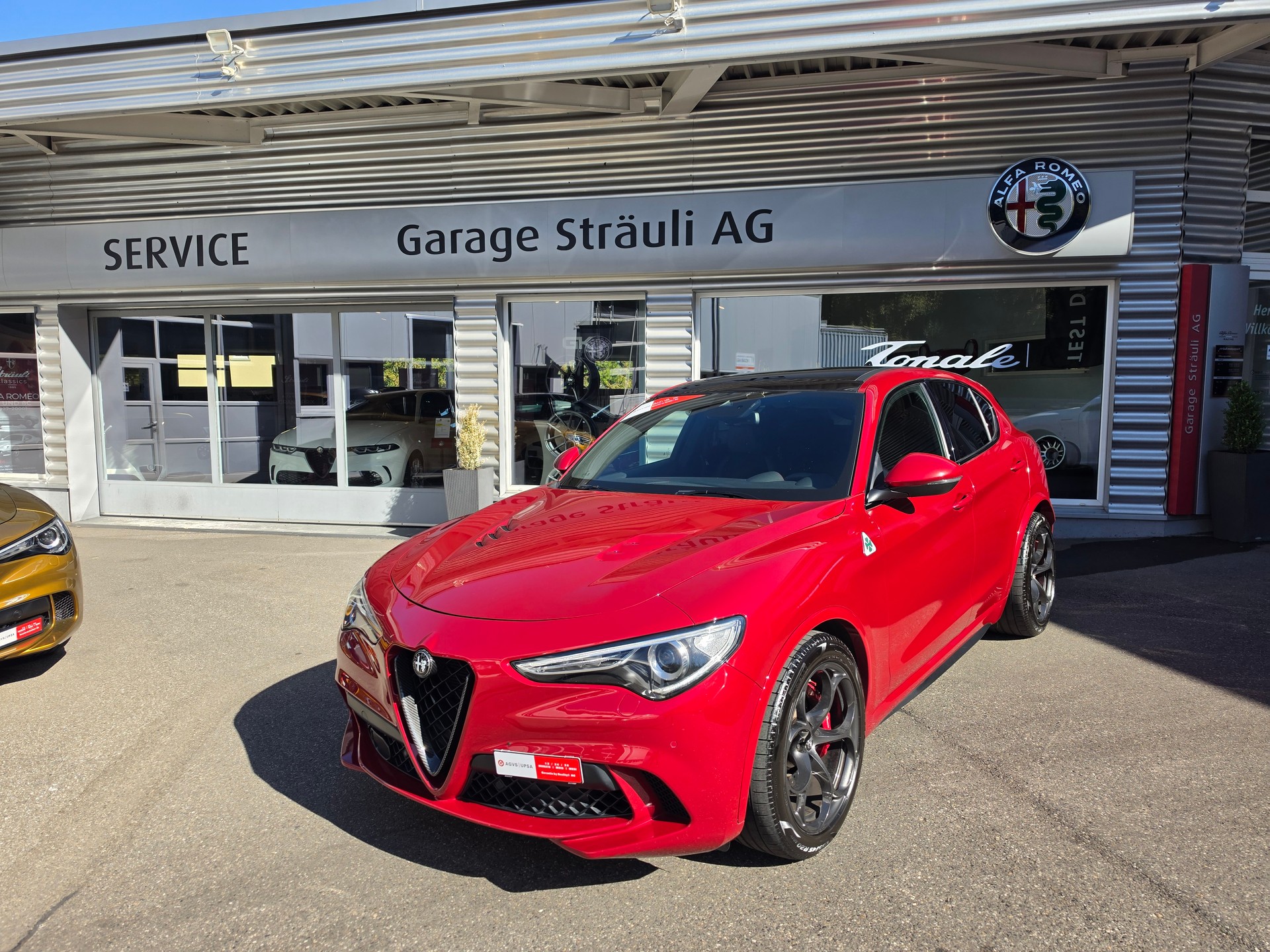 ALFA ROMEO Stelvio 2.9 V6 Quadrifoglio-image-8