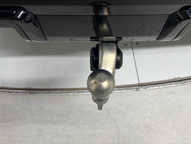 BMW XM G09 Label Plug-in Hybrid-image-12