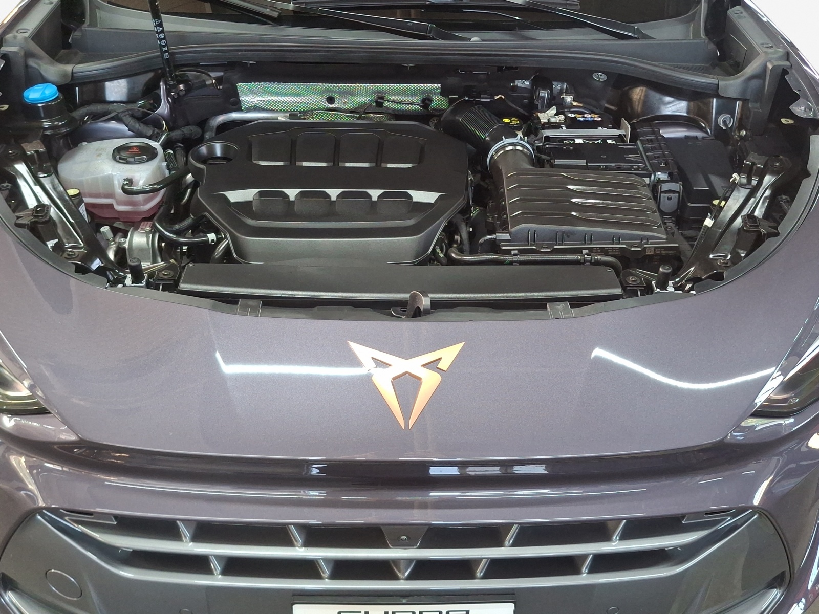 CUPRA Terramar 2.0 TSI DSG 4Drive VZ-image-15