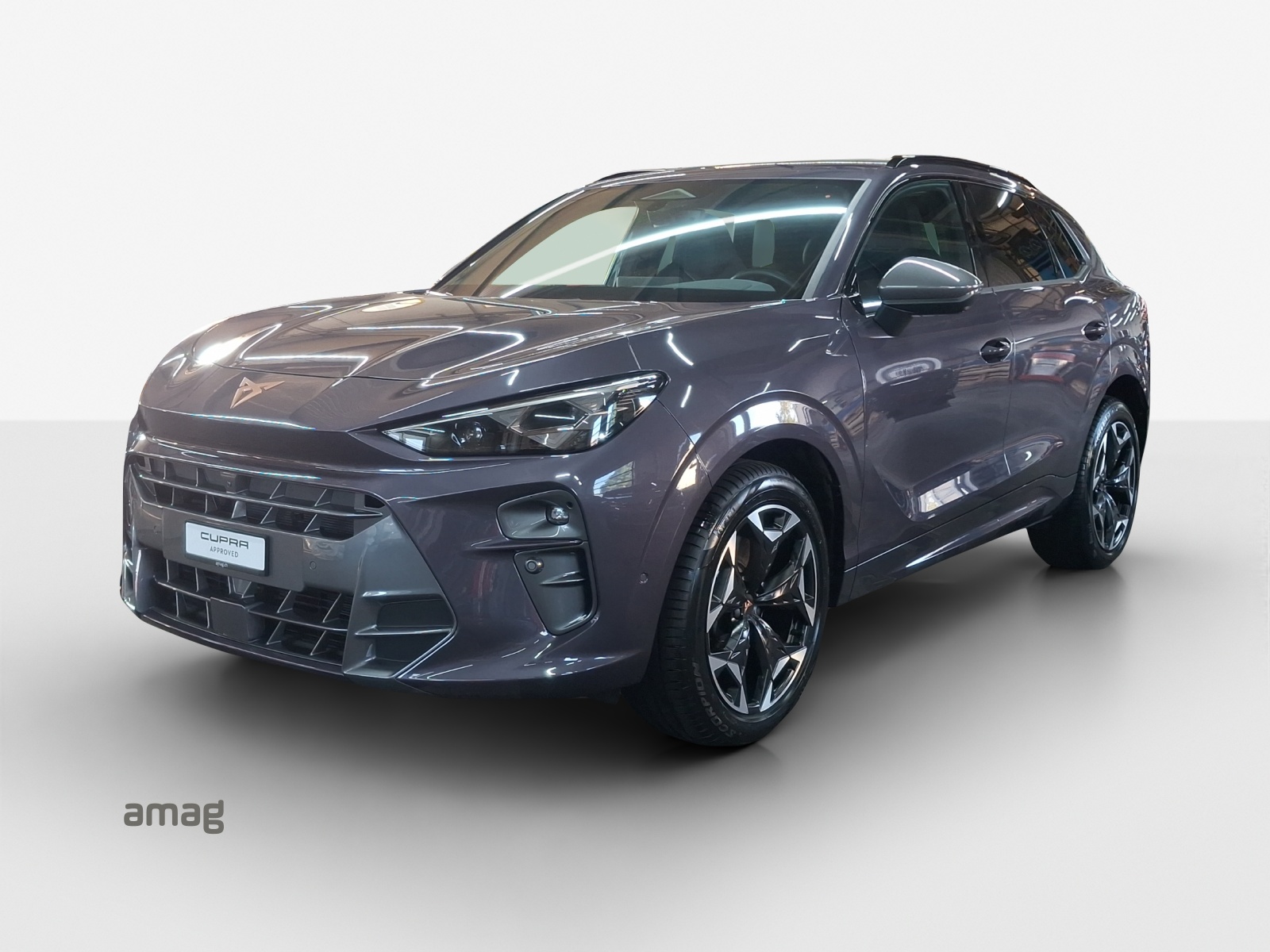 CUPRA Terramar 2.0 TSI DSG 4Drive VZ-image-0