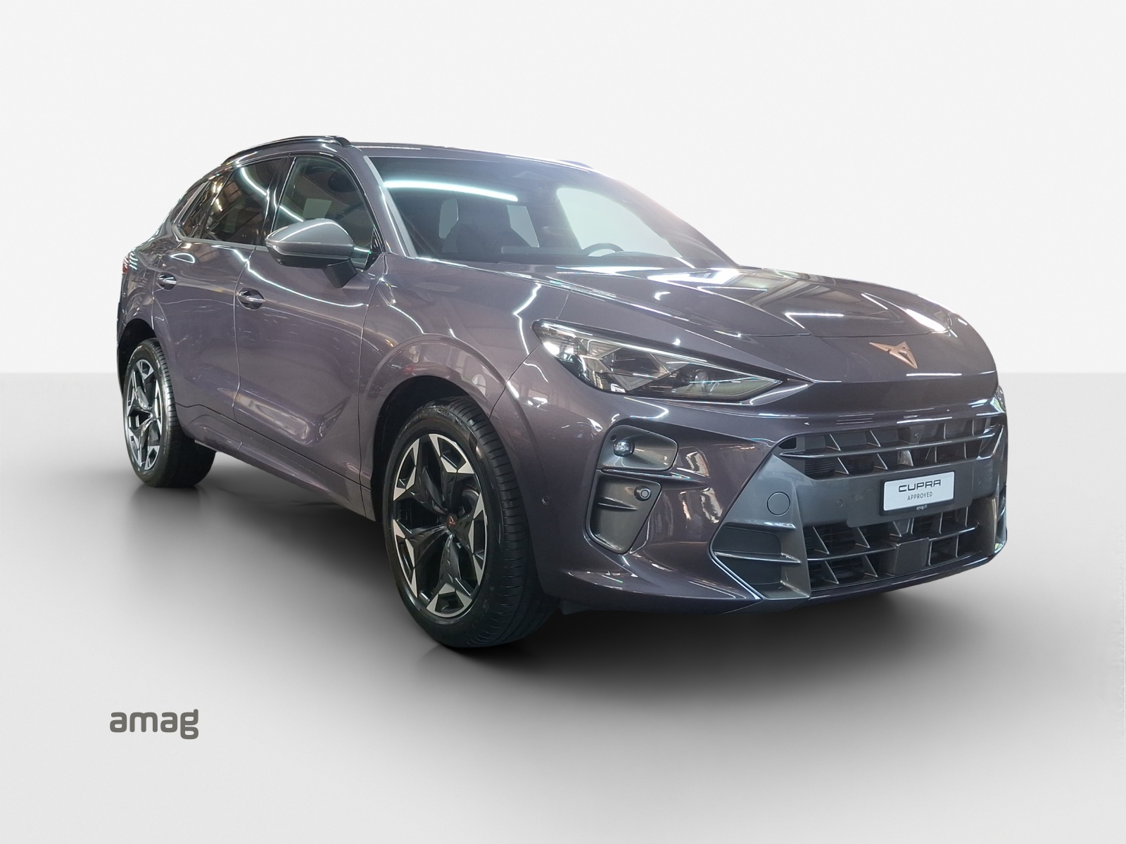 CUPRA Terramar 2.0 TSI DSG 4Drive VZ-image-6